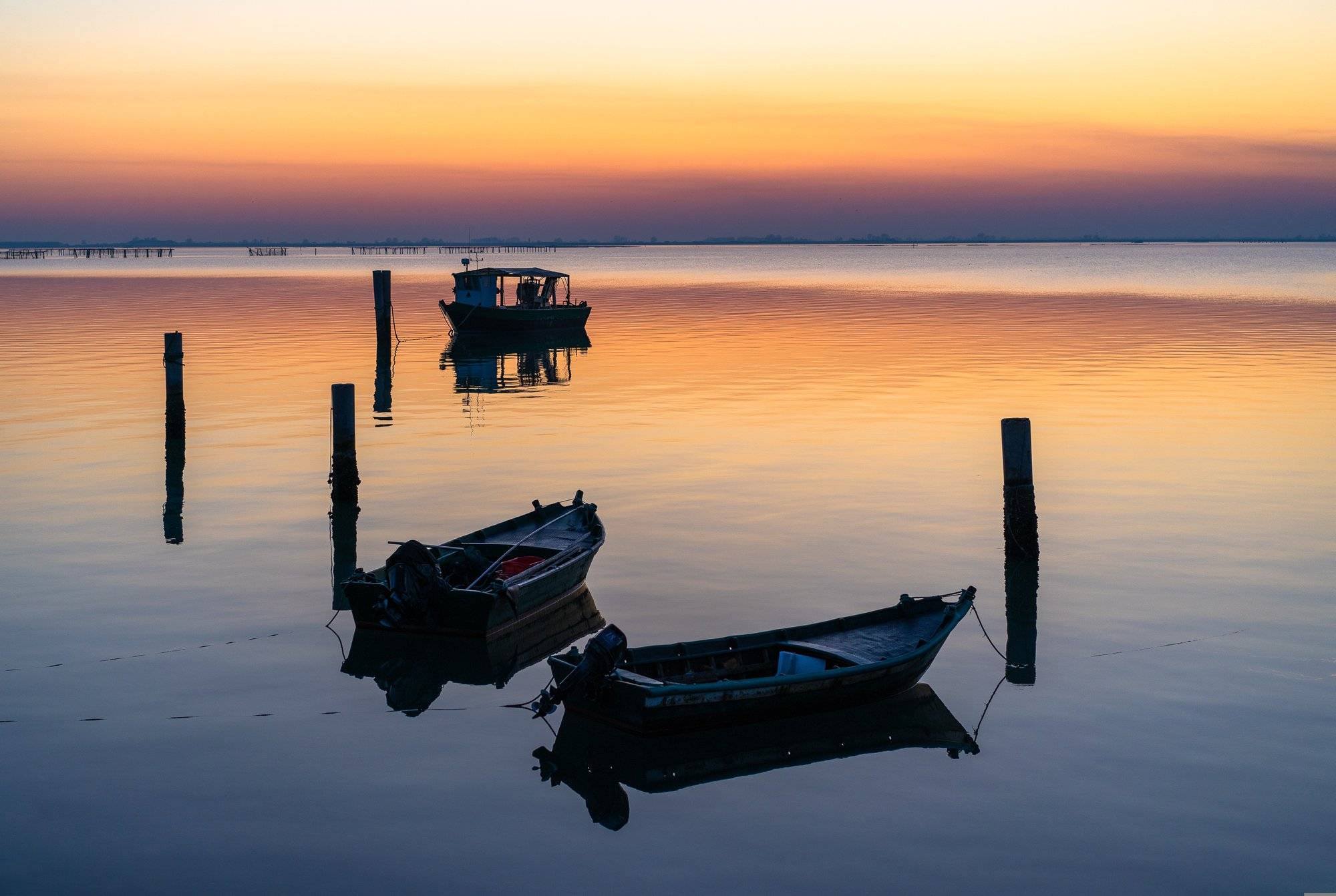 Cosa vedere nel parco del delta del po in camper - Yescapa blog