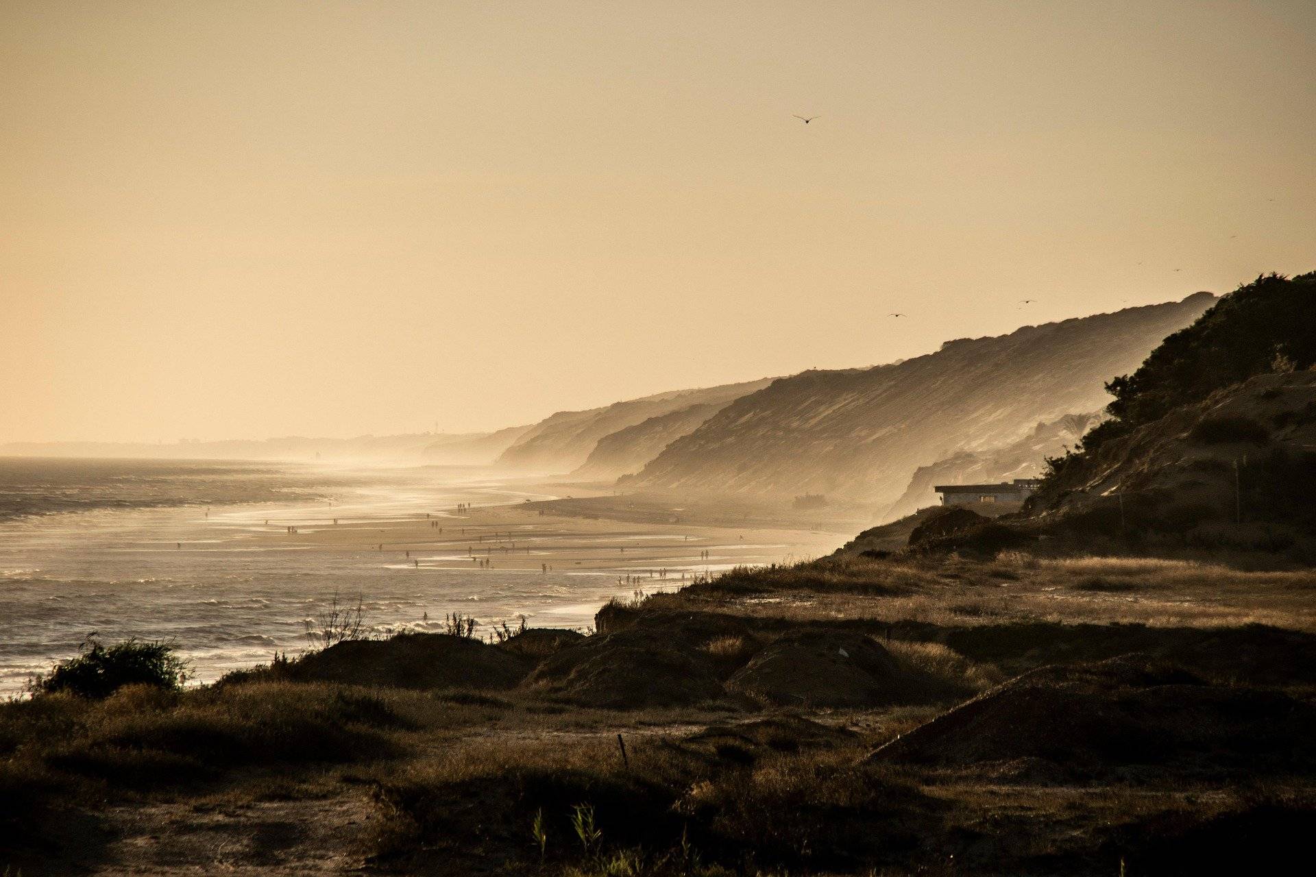 beach-6028190_1920