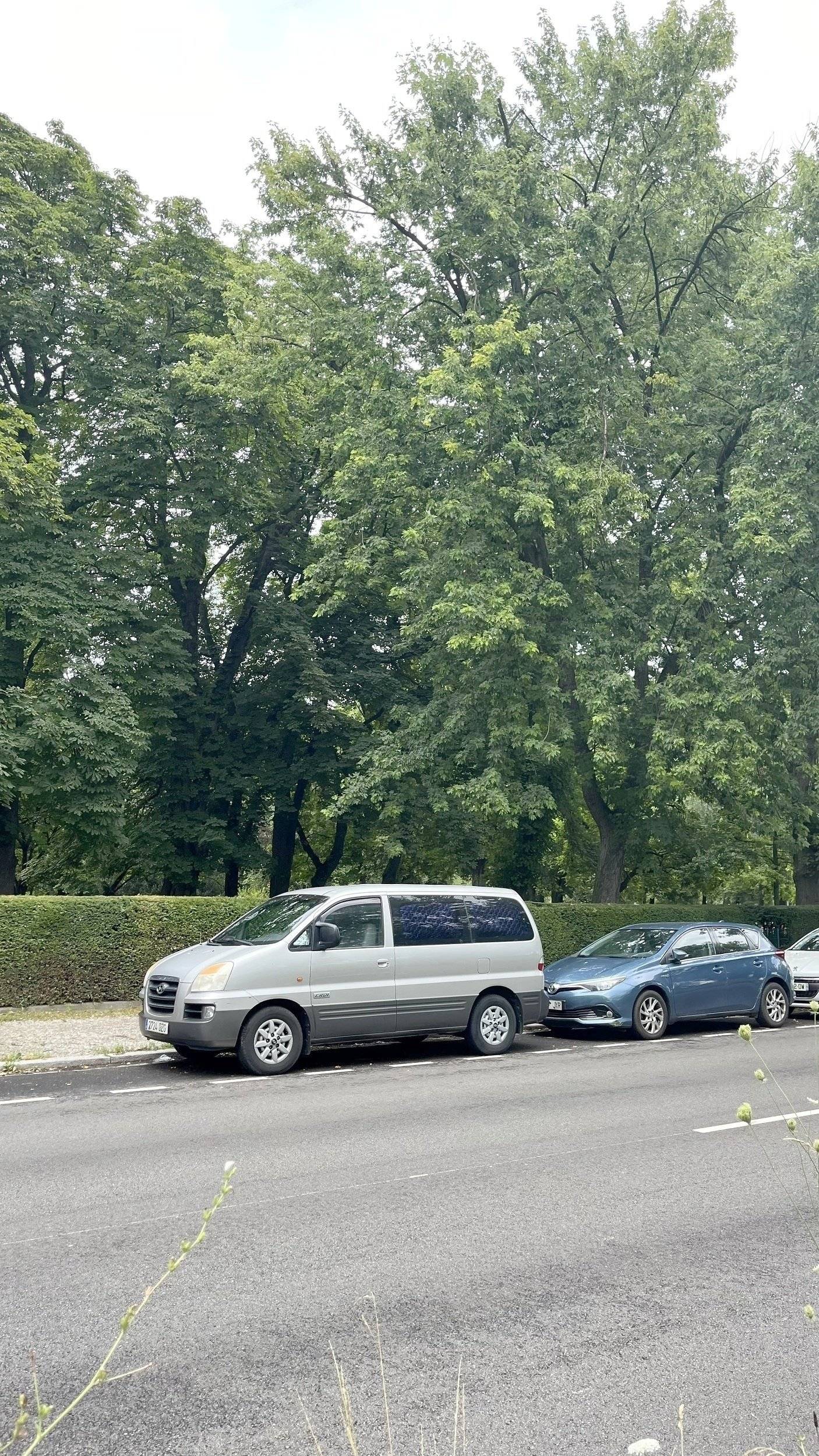 Hyundai H-1 2.5 td svx 4p