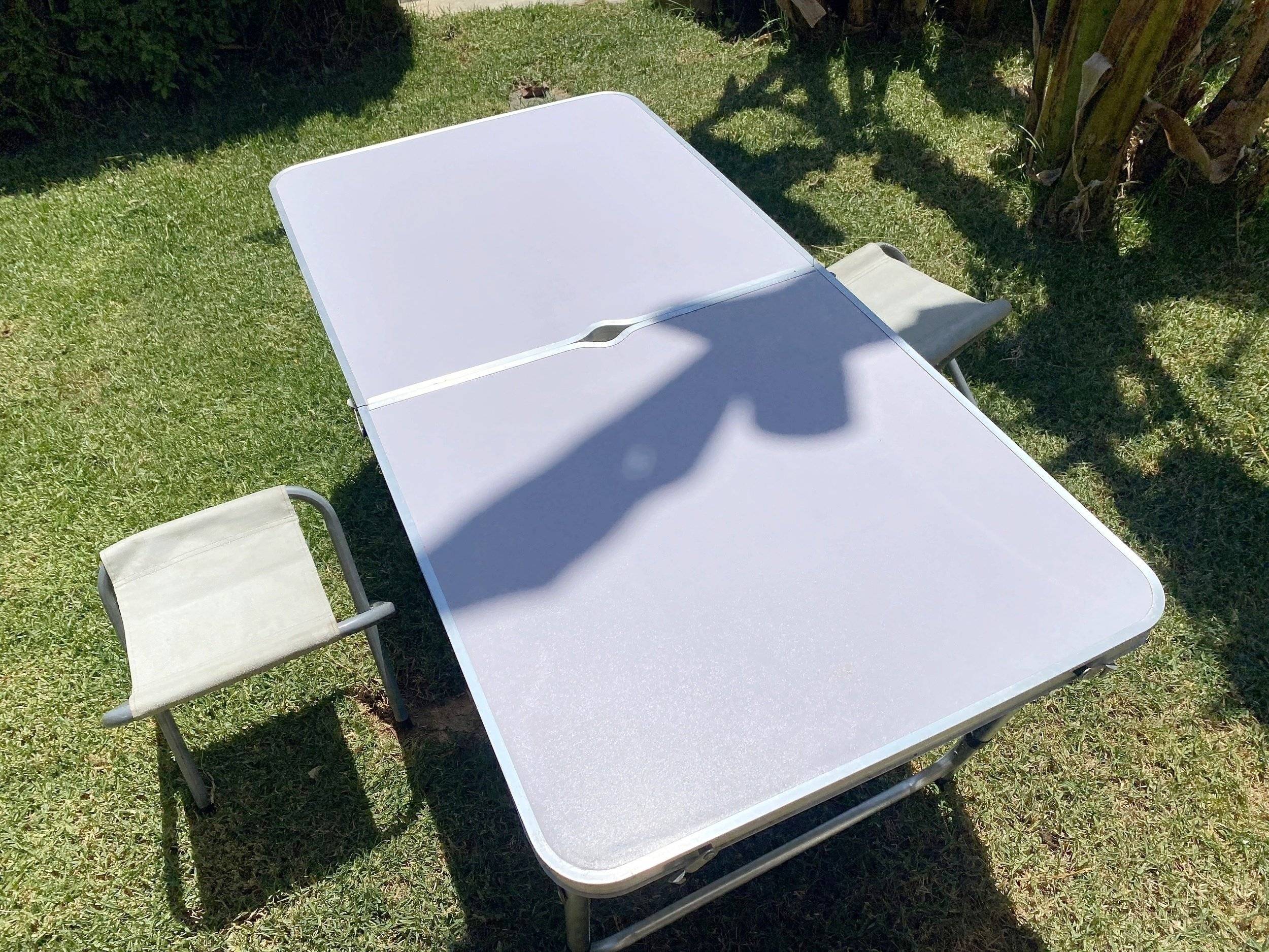 AMBUVAN T4 transporter