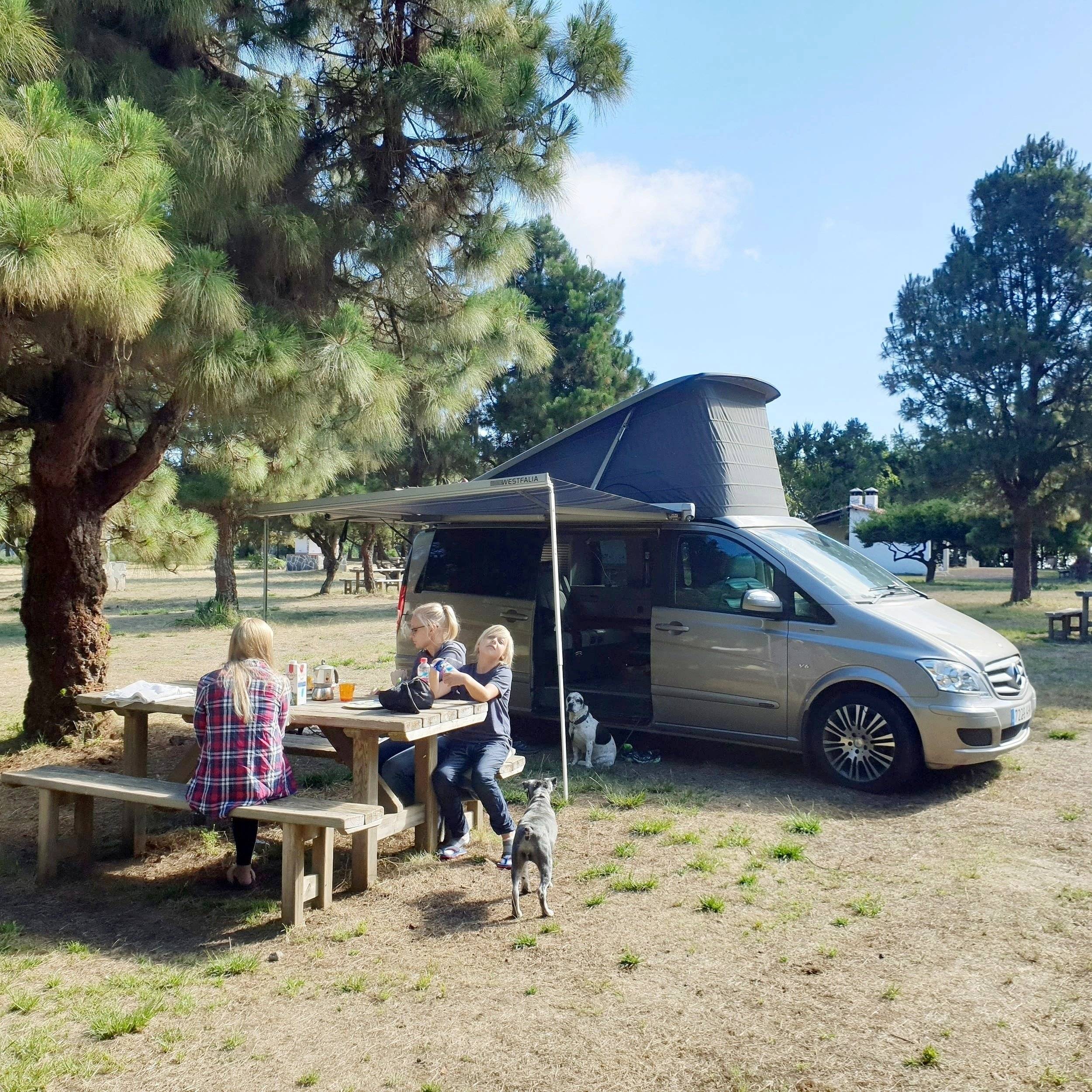 Mercedes marco polo / westfalia