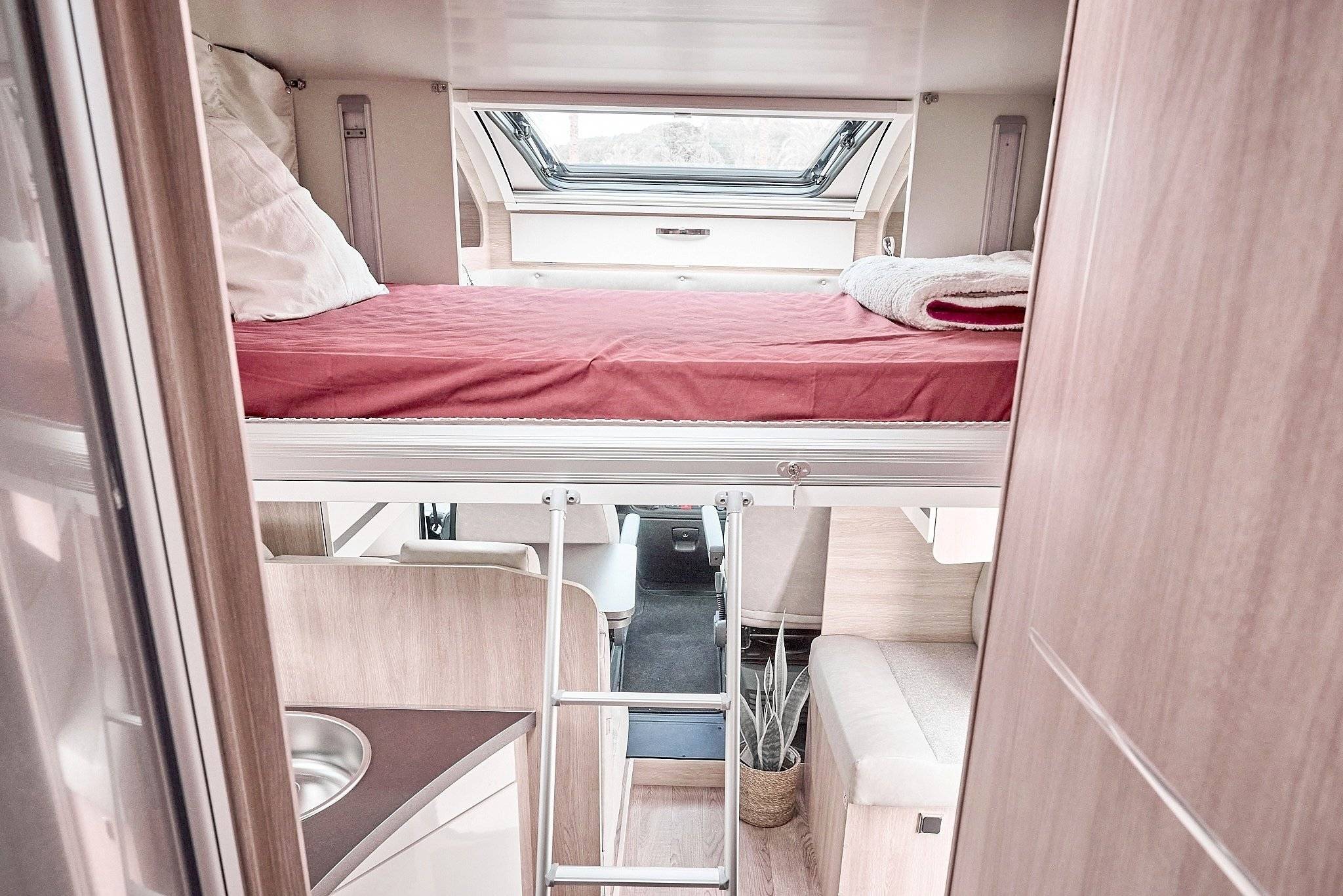 giottiline siena 390