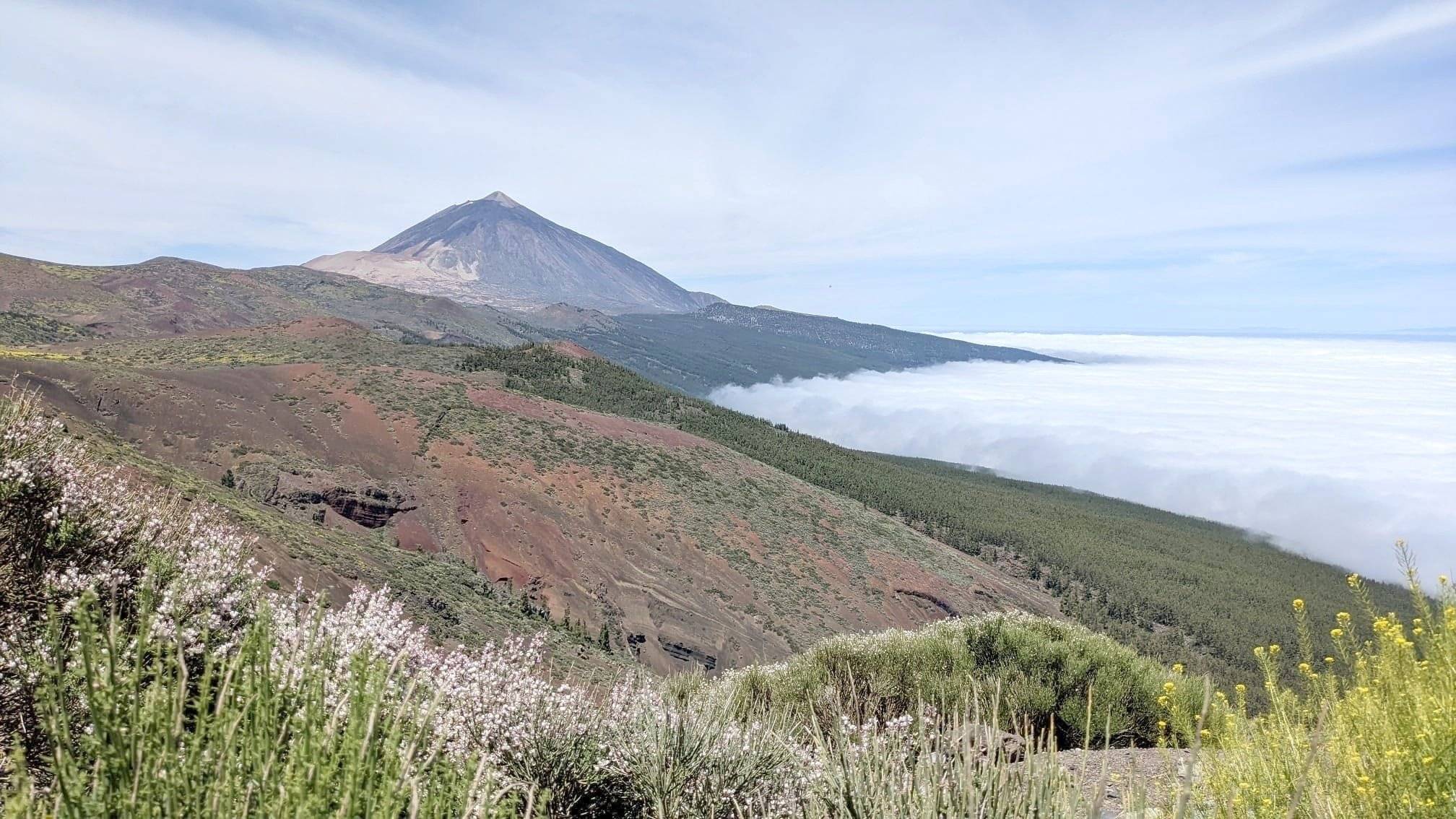 Volkswagen California Beach
