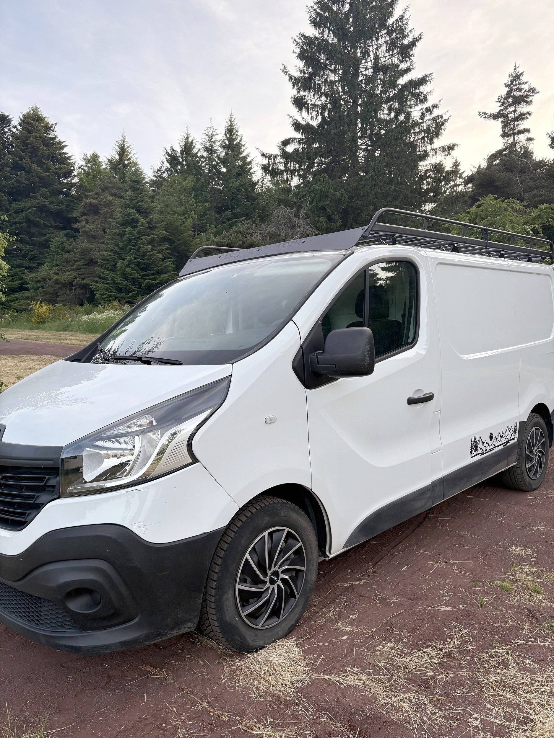 simplevans Renault Trafic