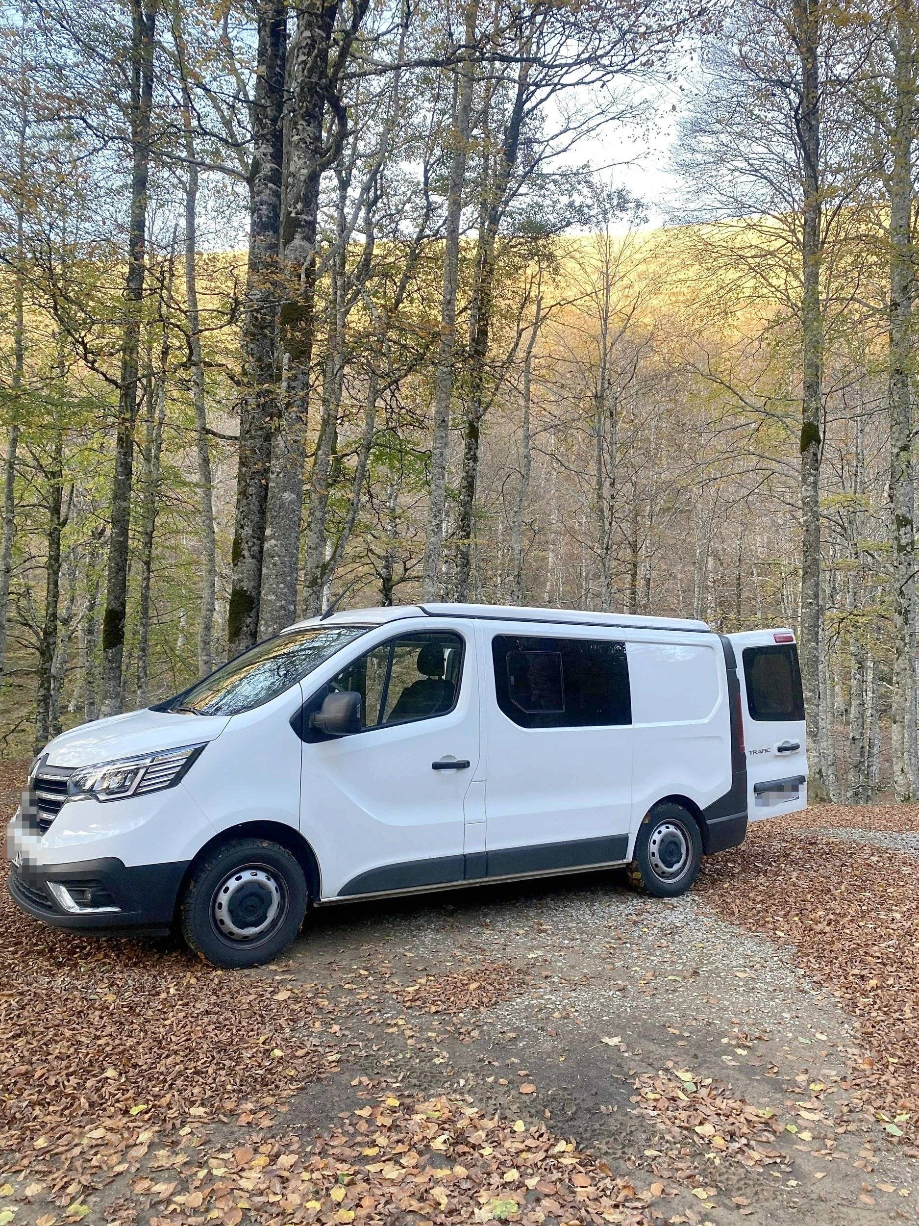 Van Mania 