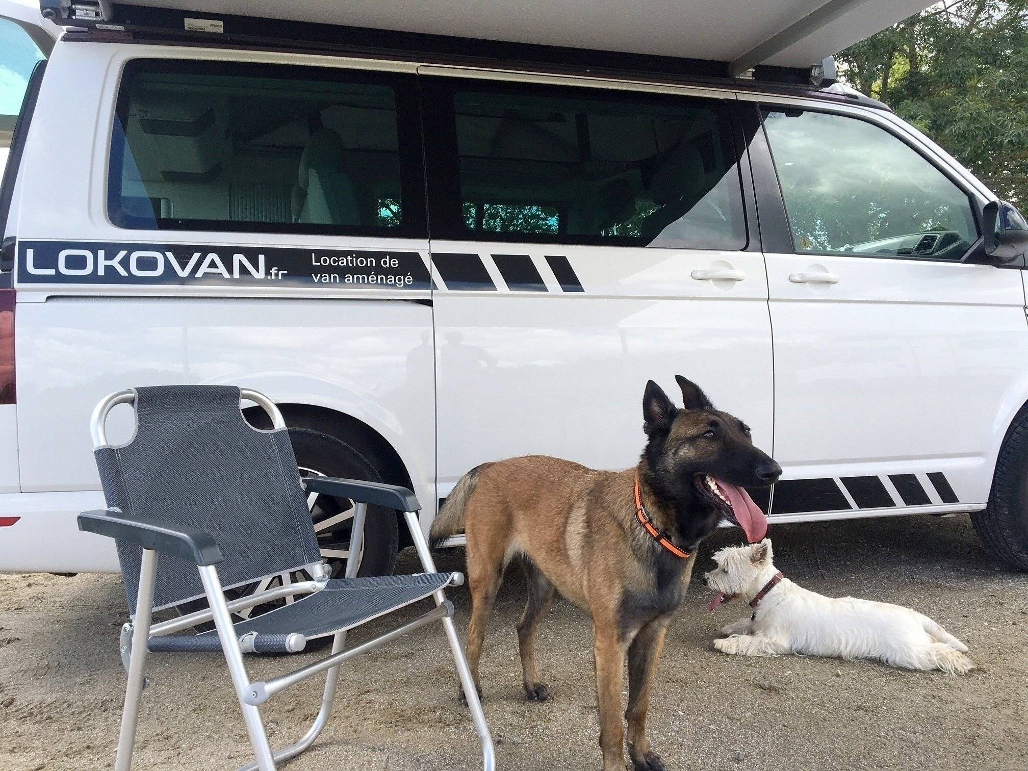 Volkswagen California T6 Coast Edition