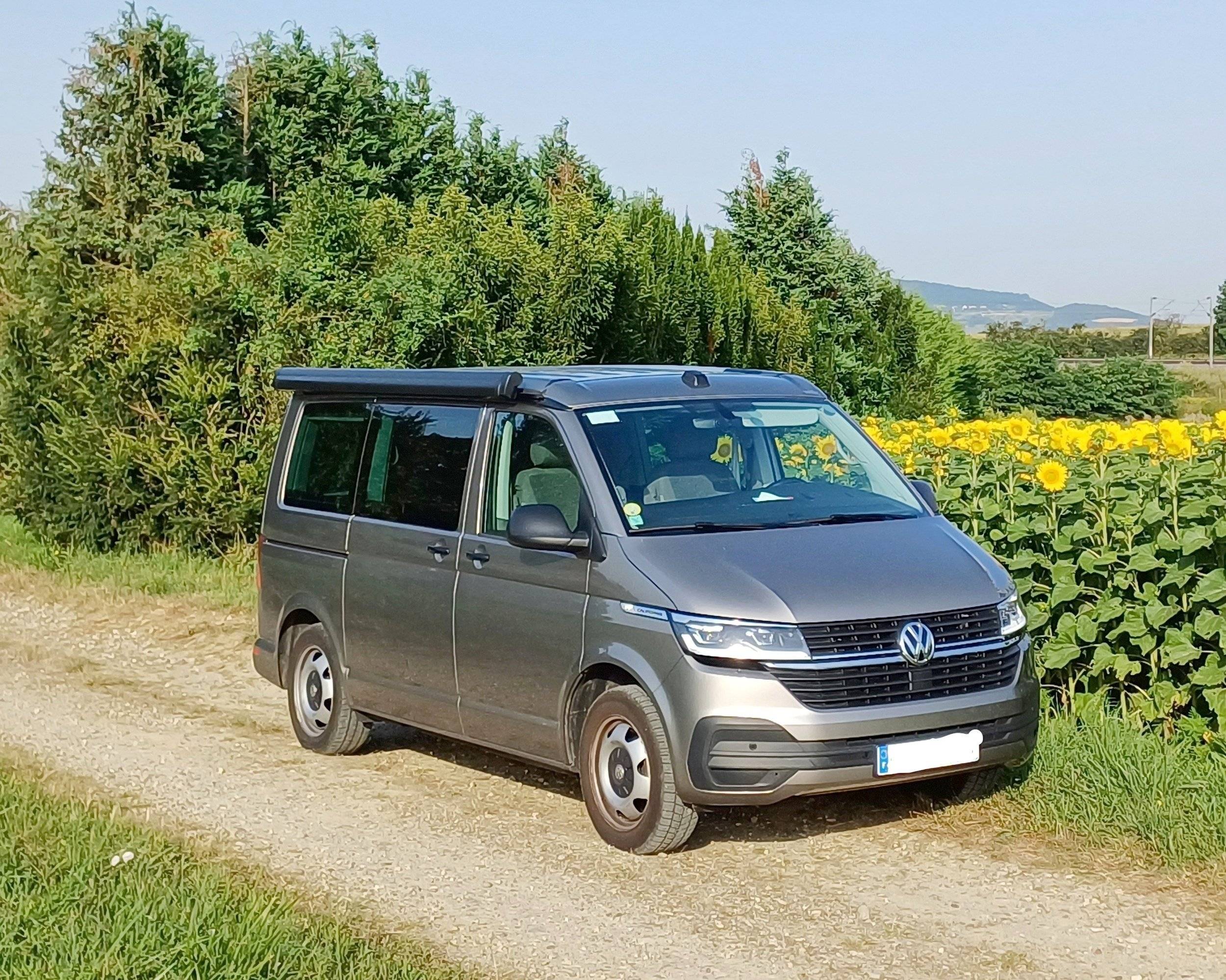 Volkswagen Volkswagen