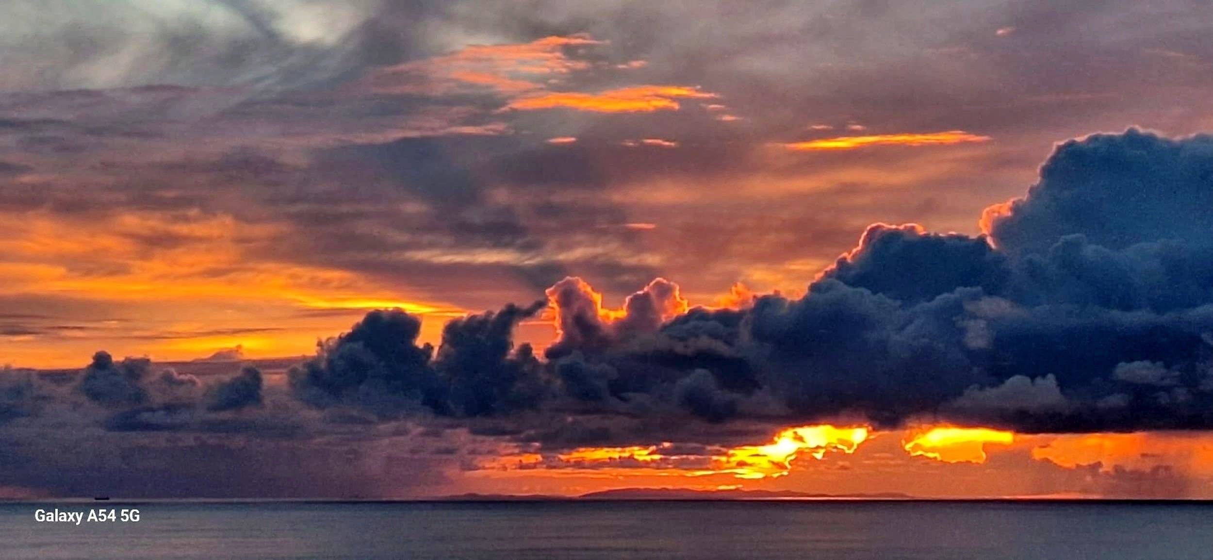 Bavaria Trigano FD1 /FOT3M335KPFD41ZO/Genesis