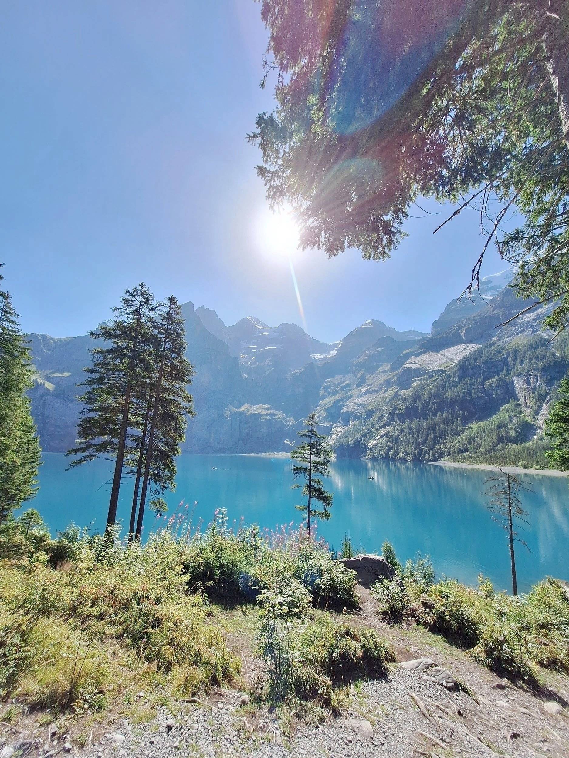 Antidote ANTILOPE FLEX 5