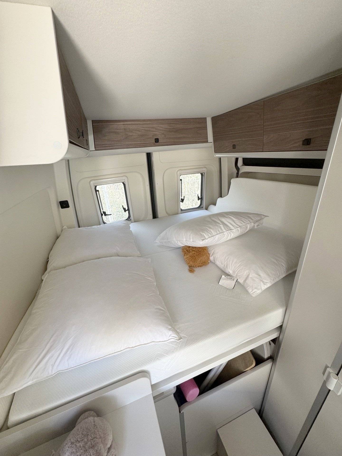 Westfalia MAN TGE