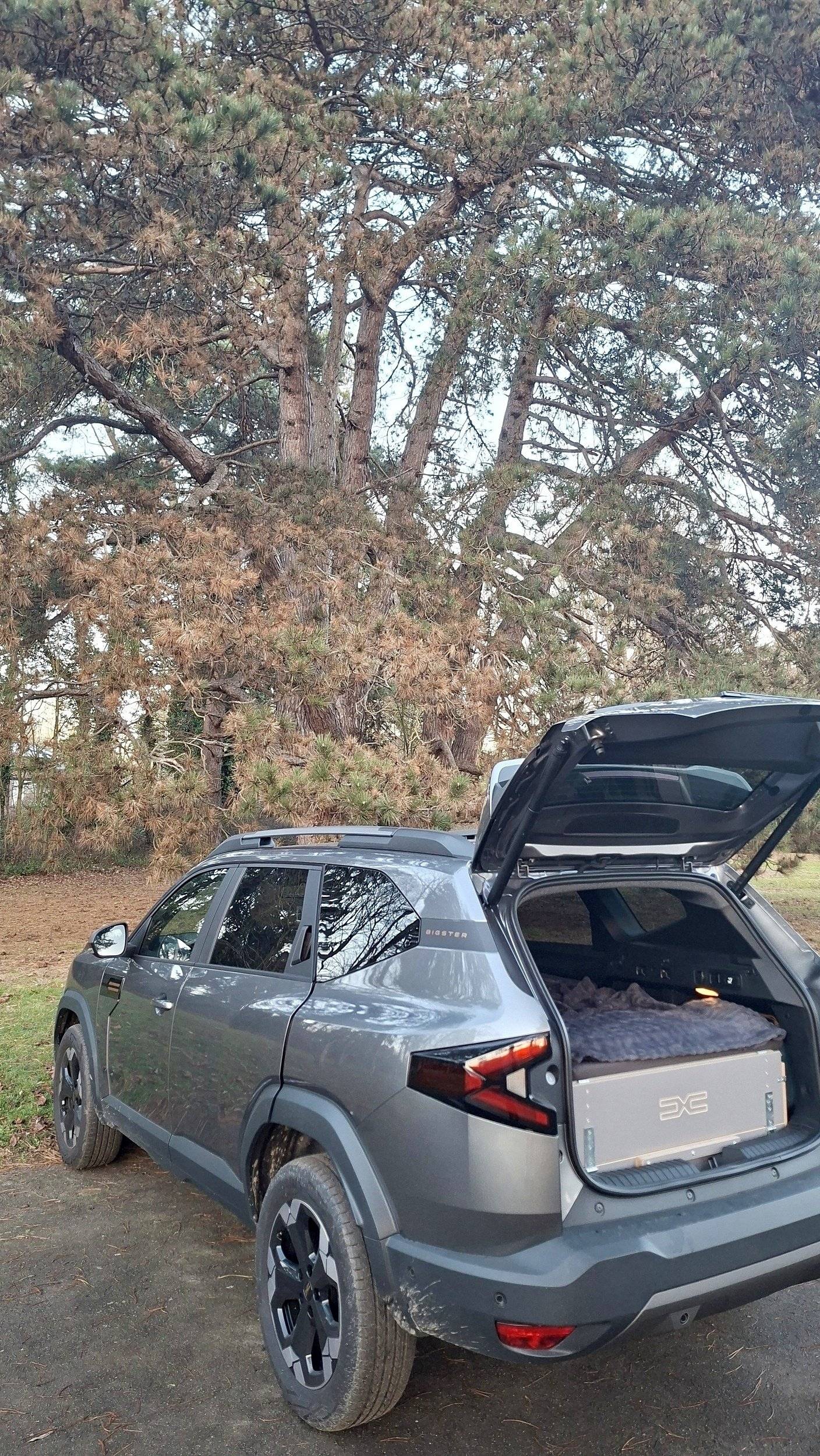 Couchages Dacia - Yescapa