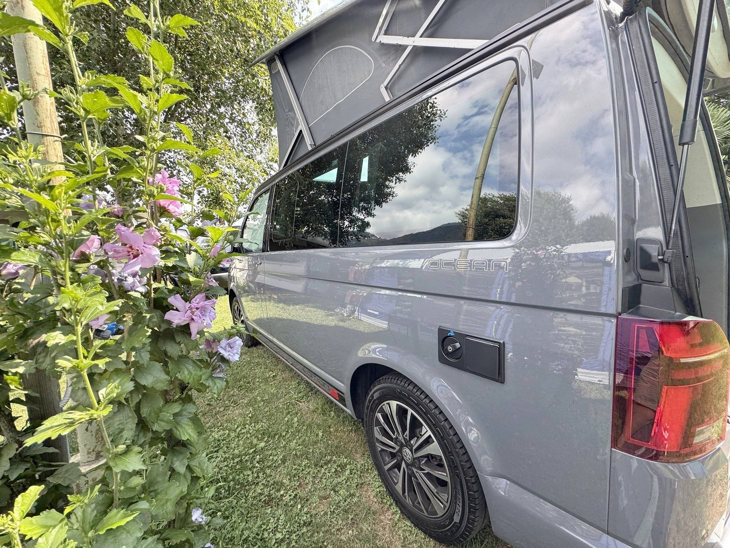 VW VW T6.1