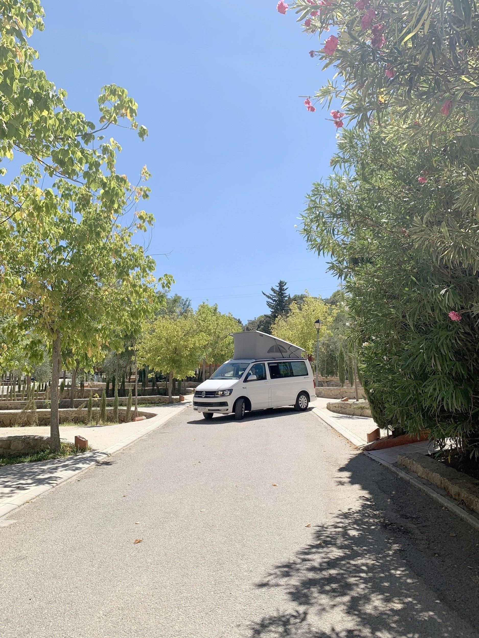 California beach CALIFORNIA BEACH