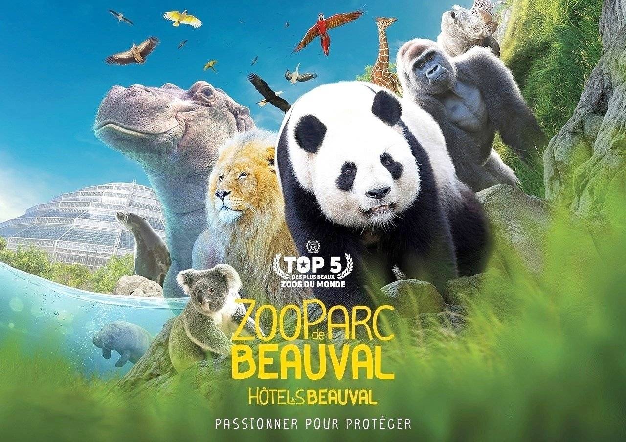 Volkswagen Volkswagen T6.1 California OCEAN