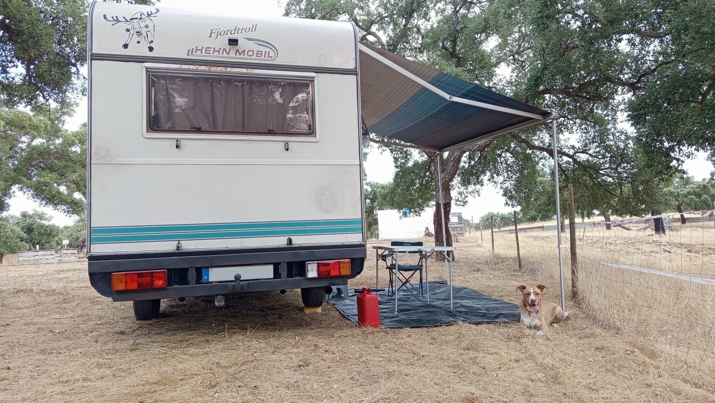 Hehn Mobil Transit 2,5