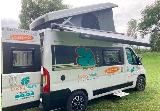 Dreamer Dreamer D 43UP