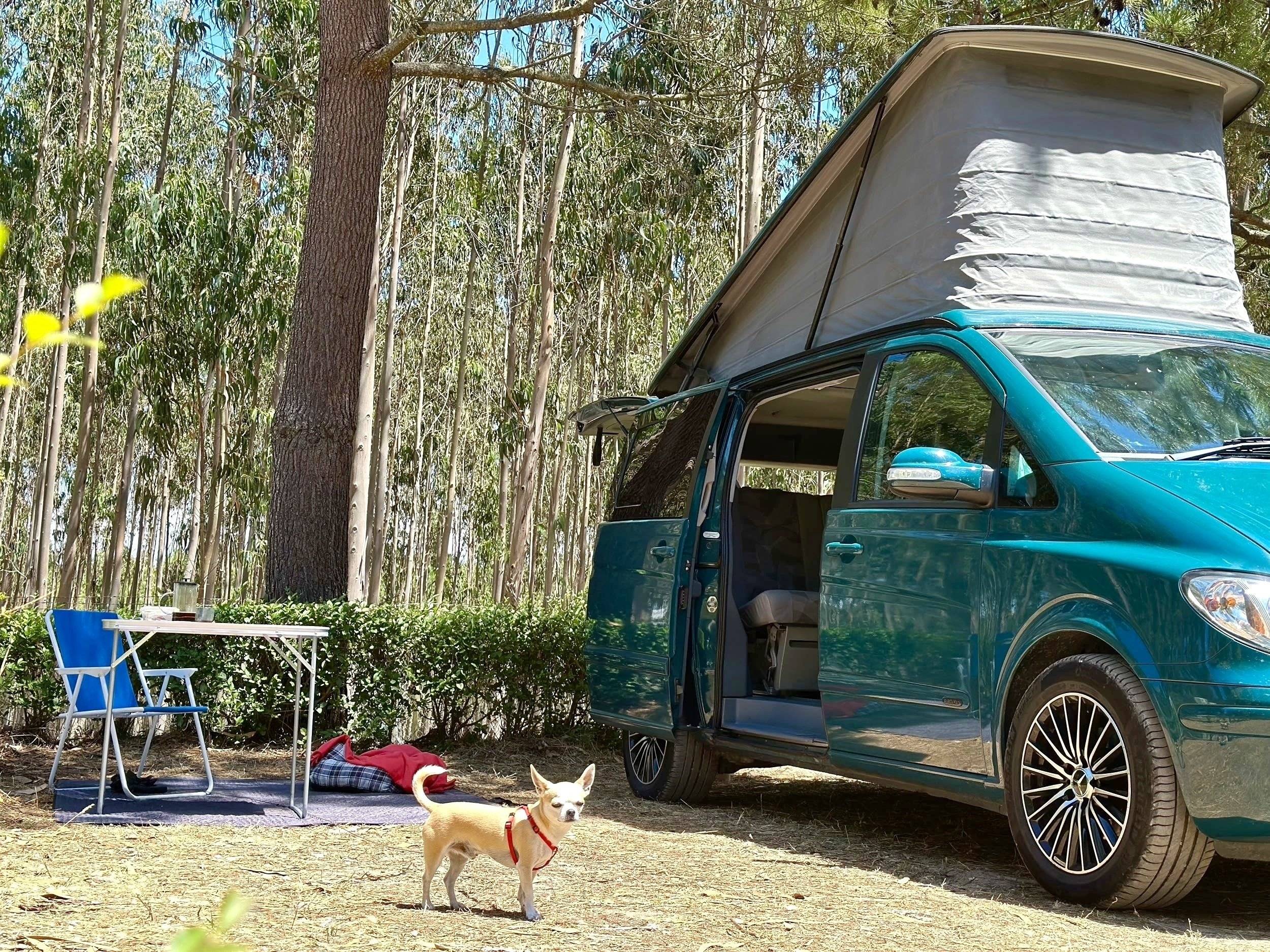 Westfalia 