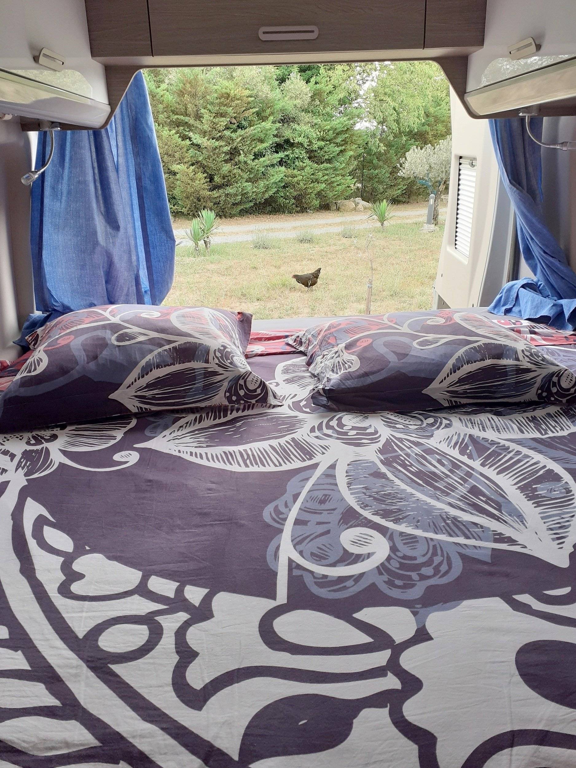 Chausson V697 Premium