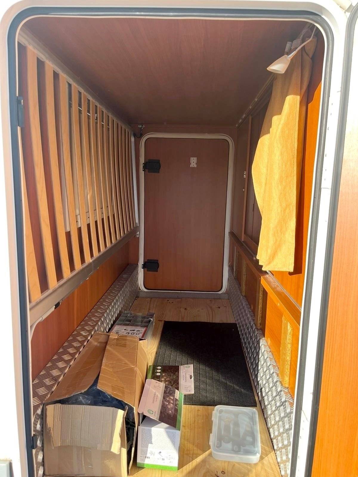 Mclouis McLouis Tandy