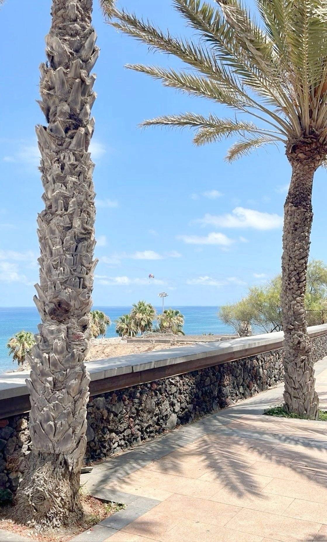 P.L.A. Citroën jumper