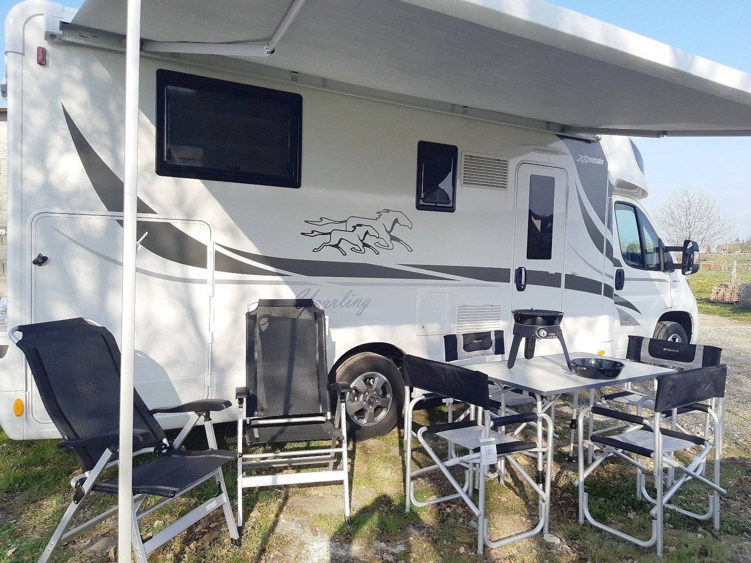 Mclouis Yearling 89G