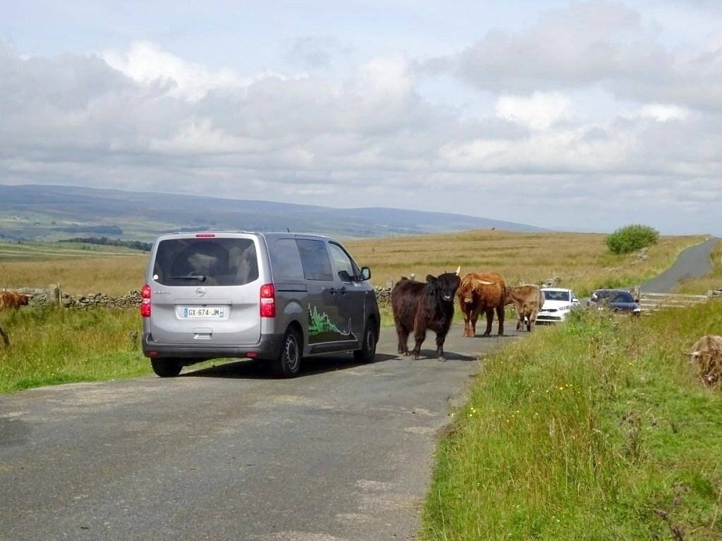 Van Mania Van Mania North East