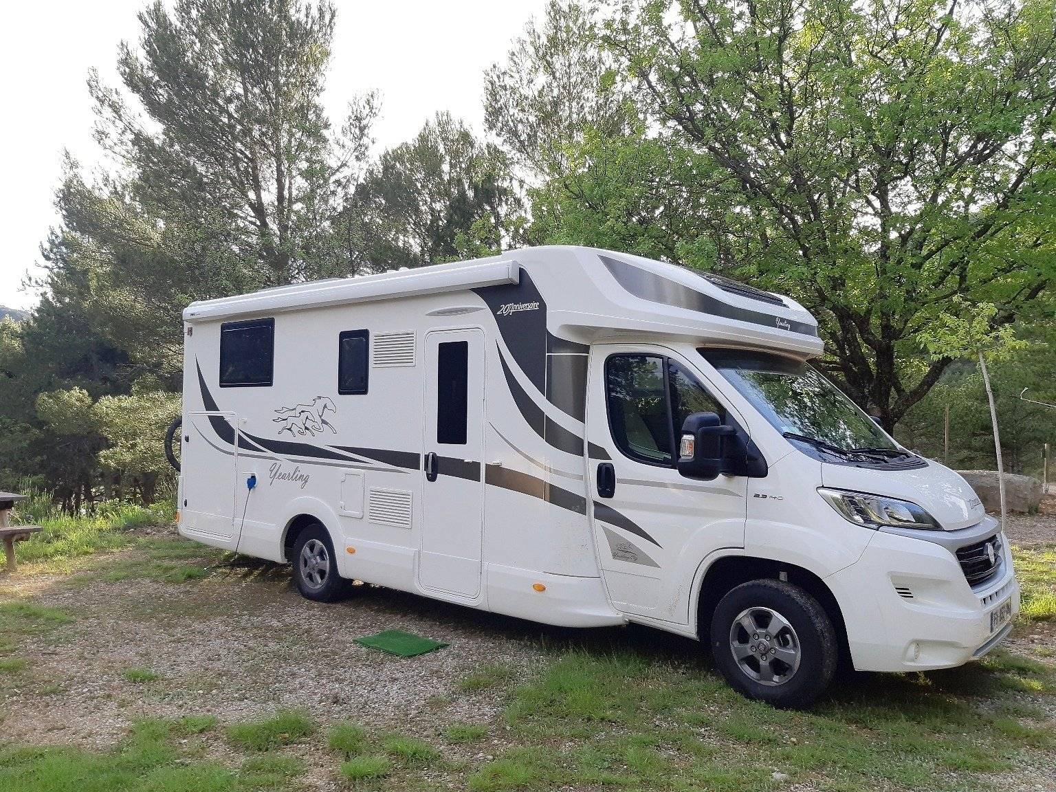 Mclouis Yearling 89G