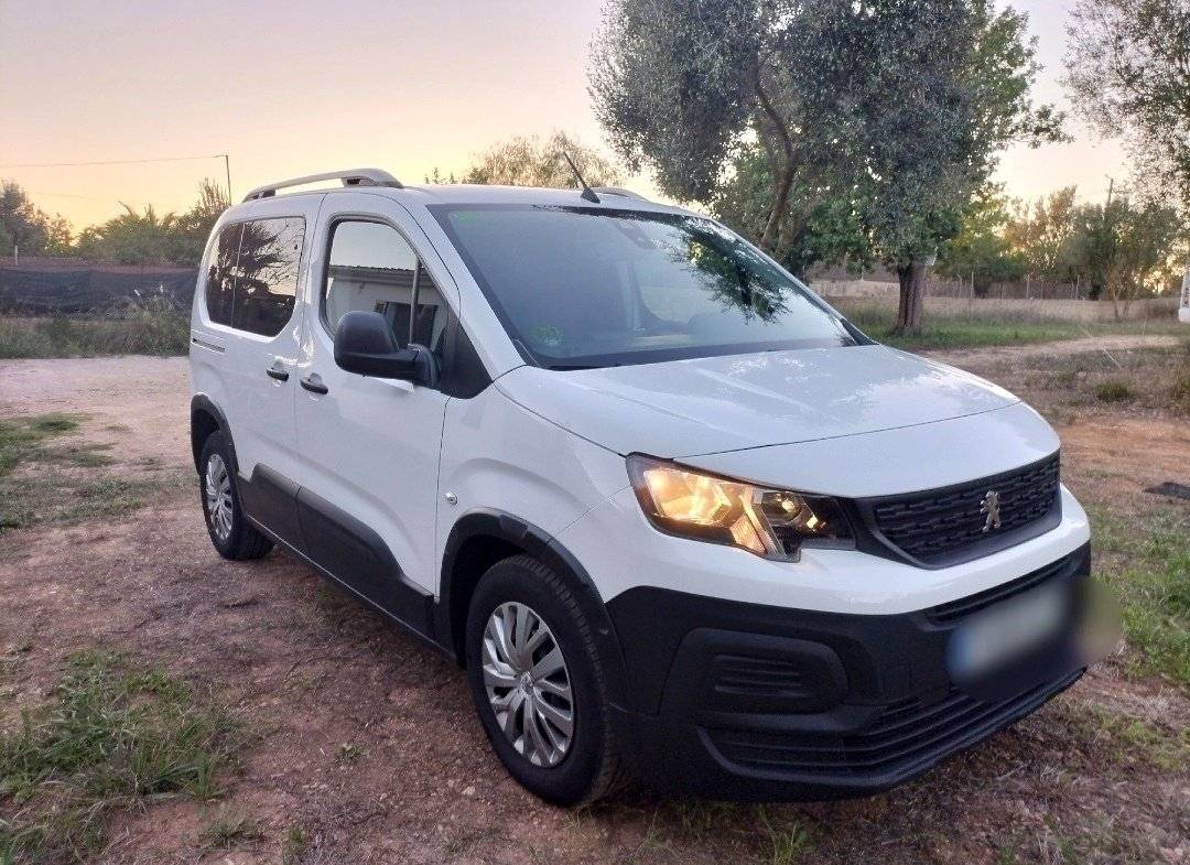 Camper Track Peugeot Rifer