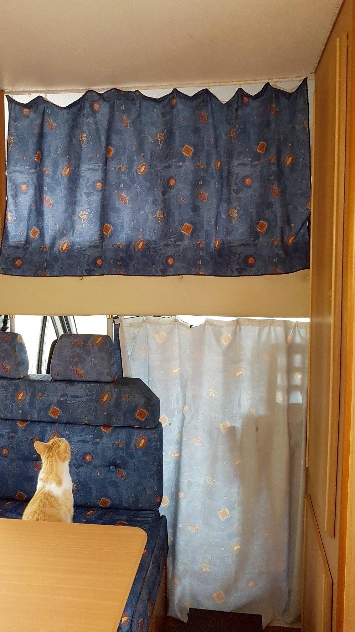 Roller Team Roller team