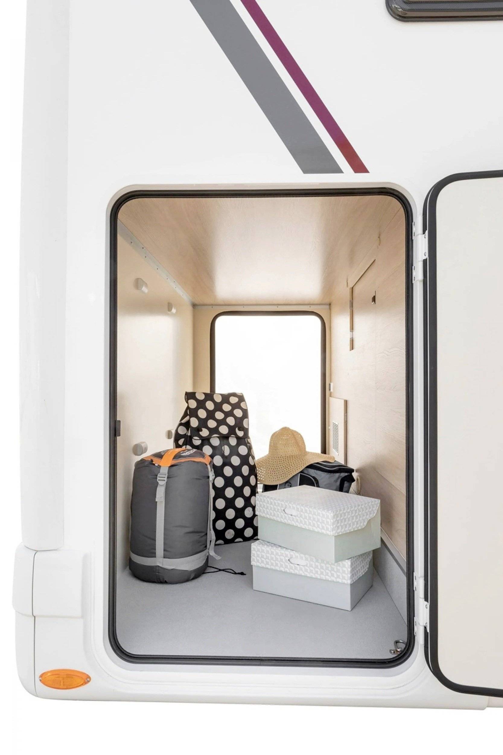 Giottiline siena 385