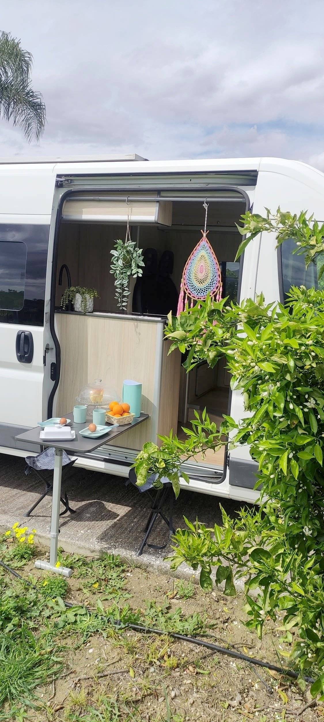 Custo Van Wildcampers