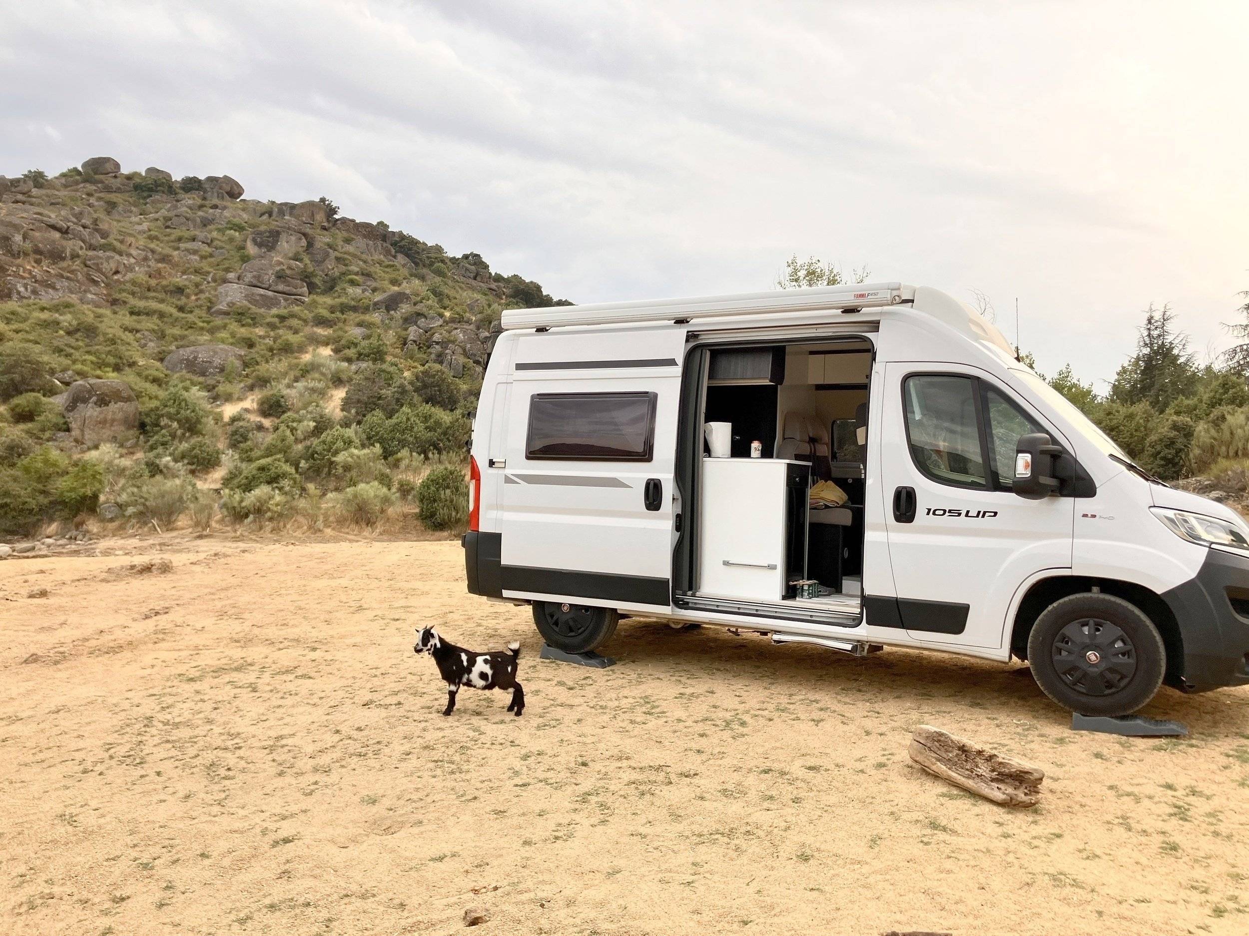 Benimar Benivan 105UP