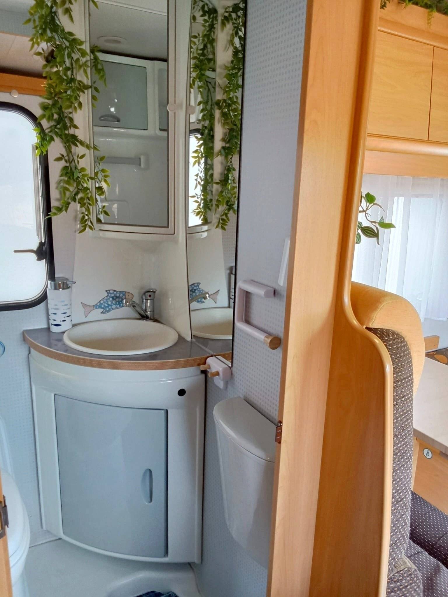 Challenger Challenger genesis 43