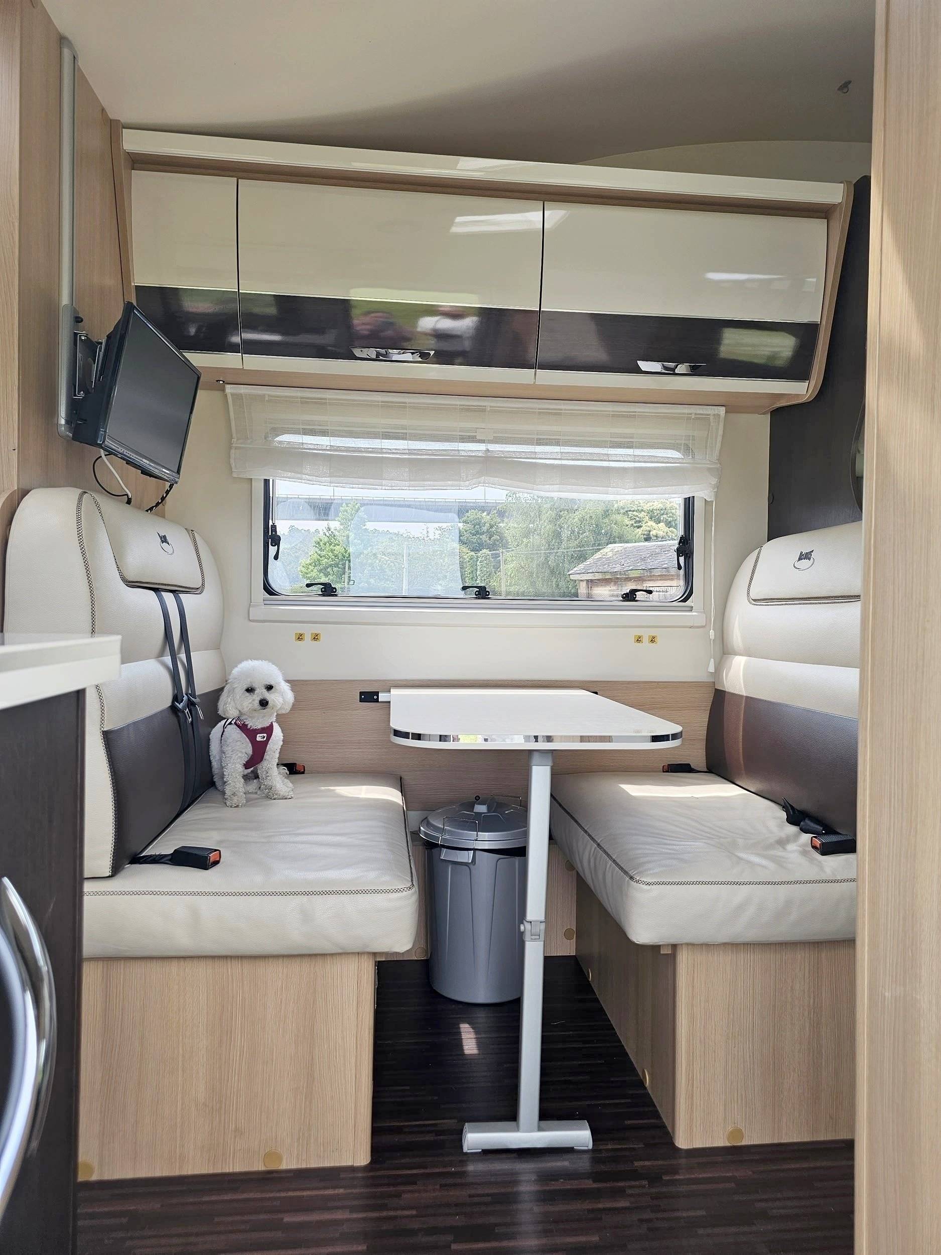 Mclouis McLouis Glamys 220