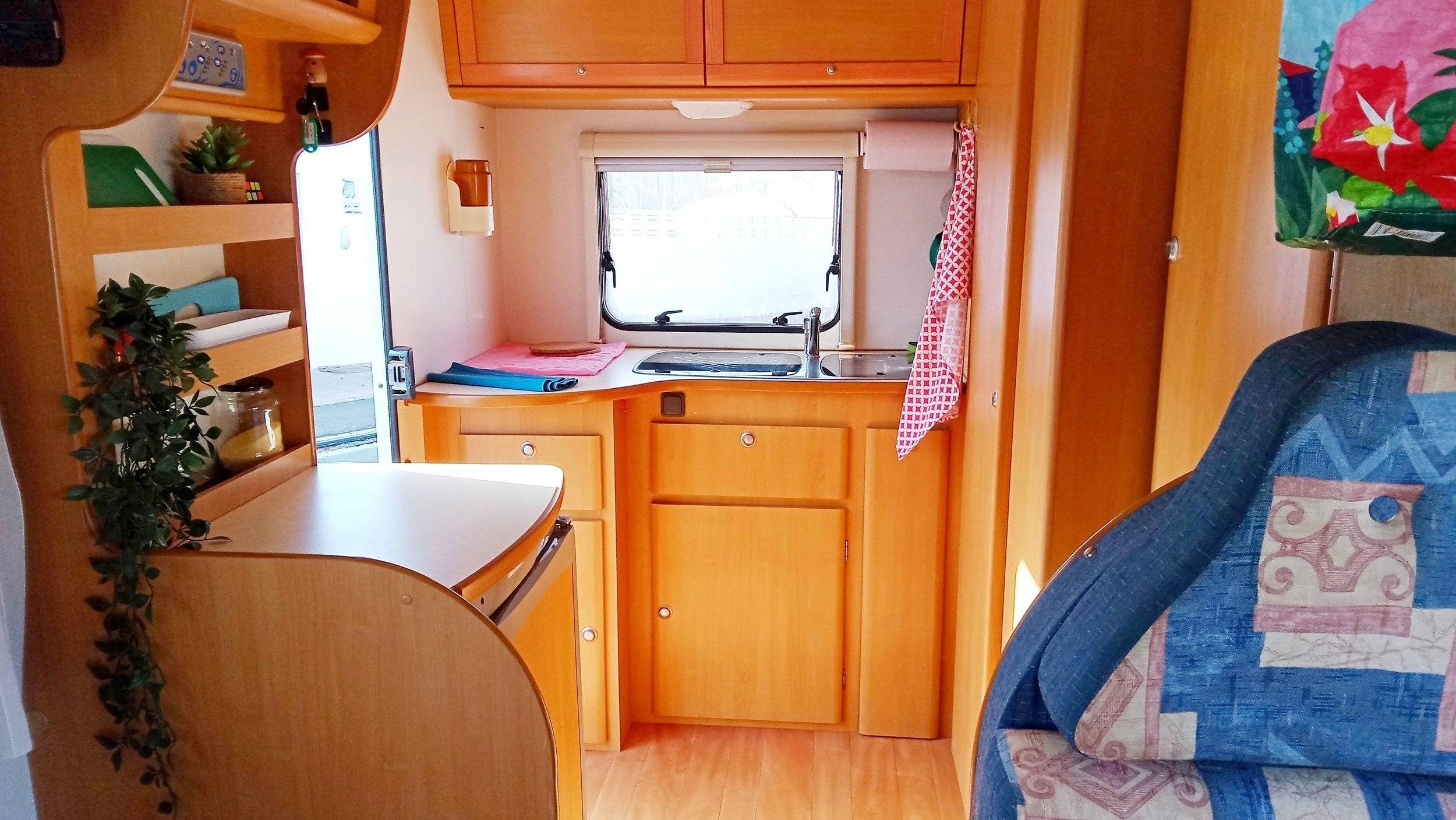 C.I. C.I. carioca 20