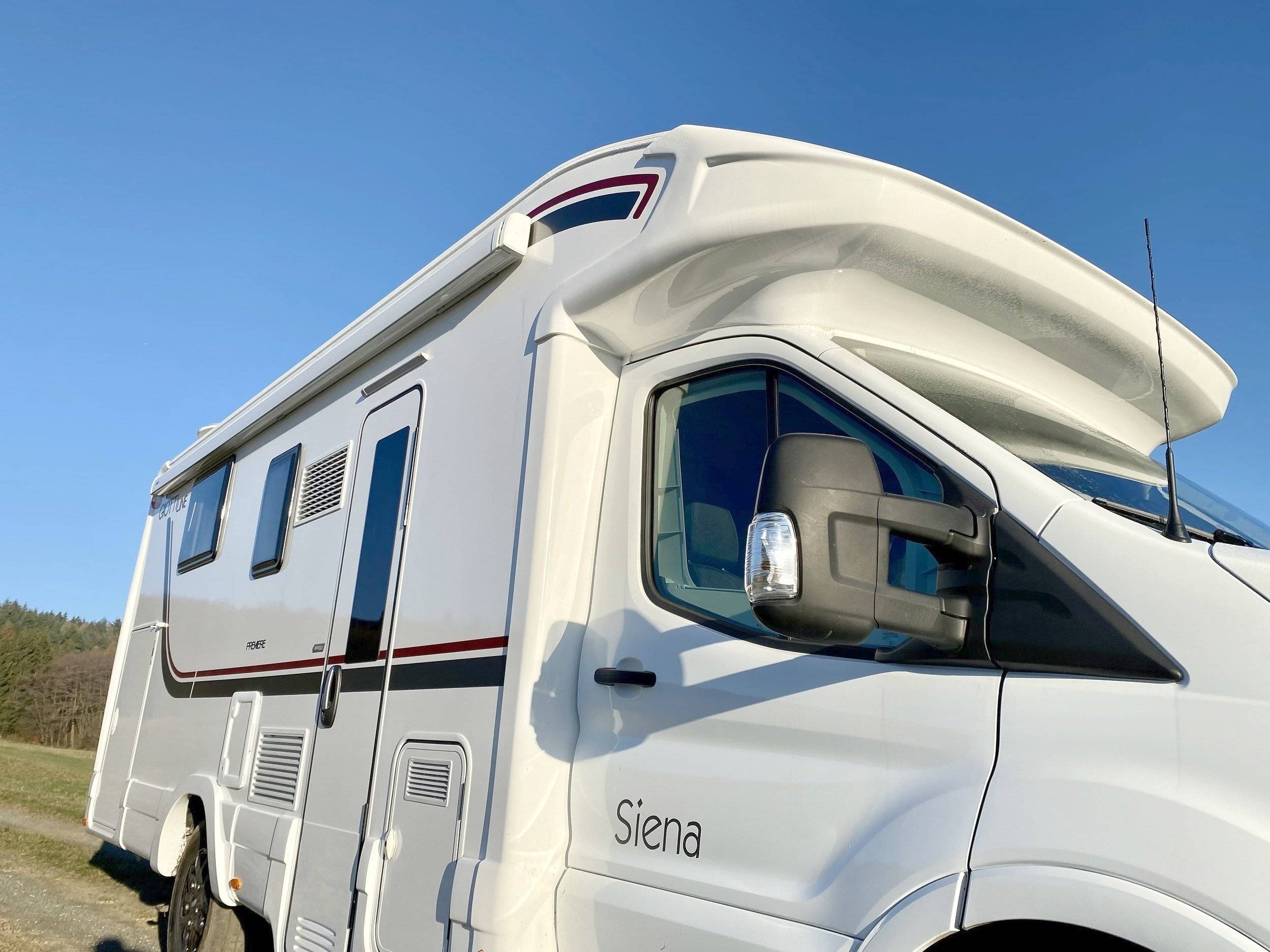 Giottiline Giottiline siena 395