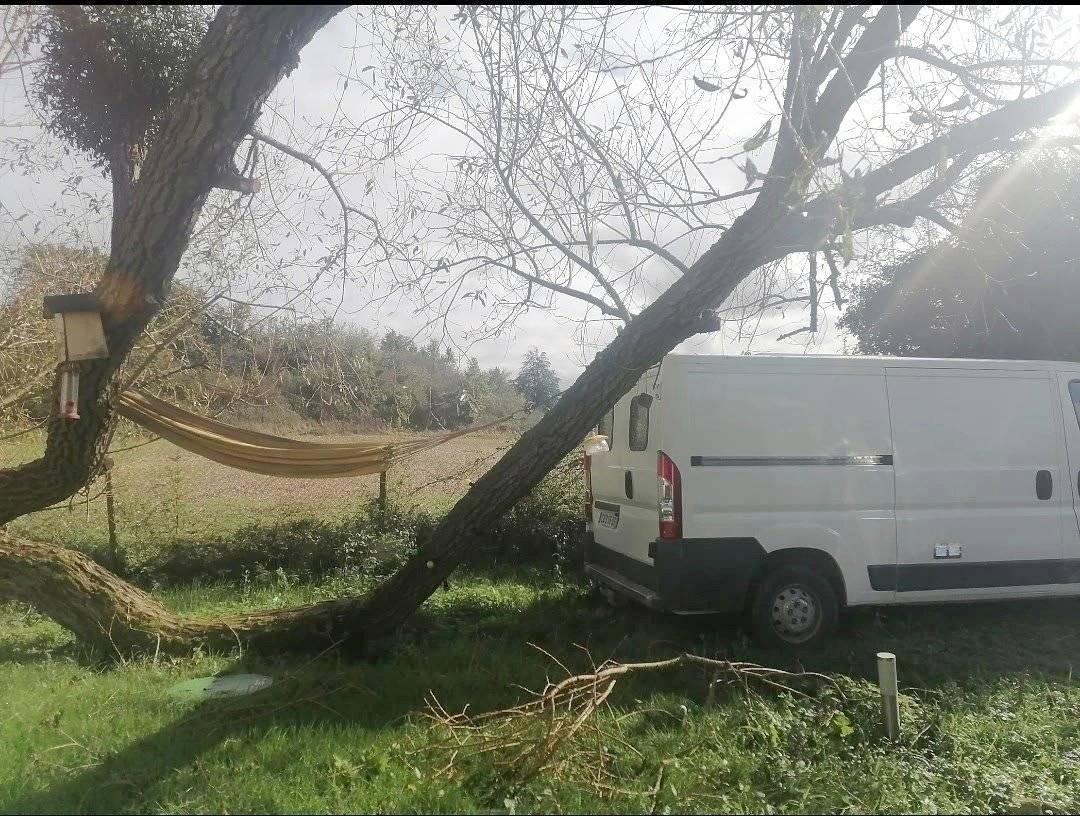 Citroën Citroën jumper