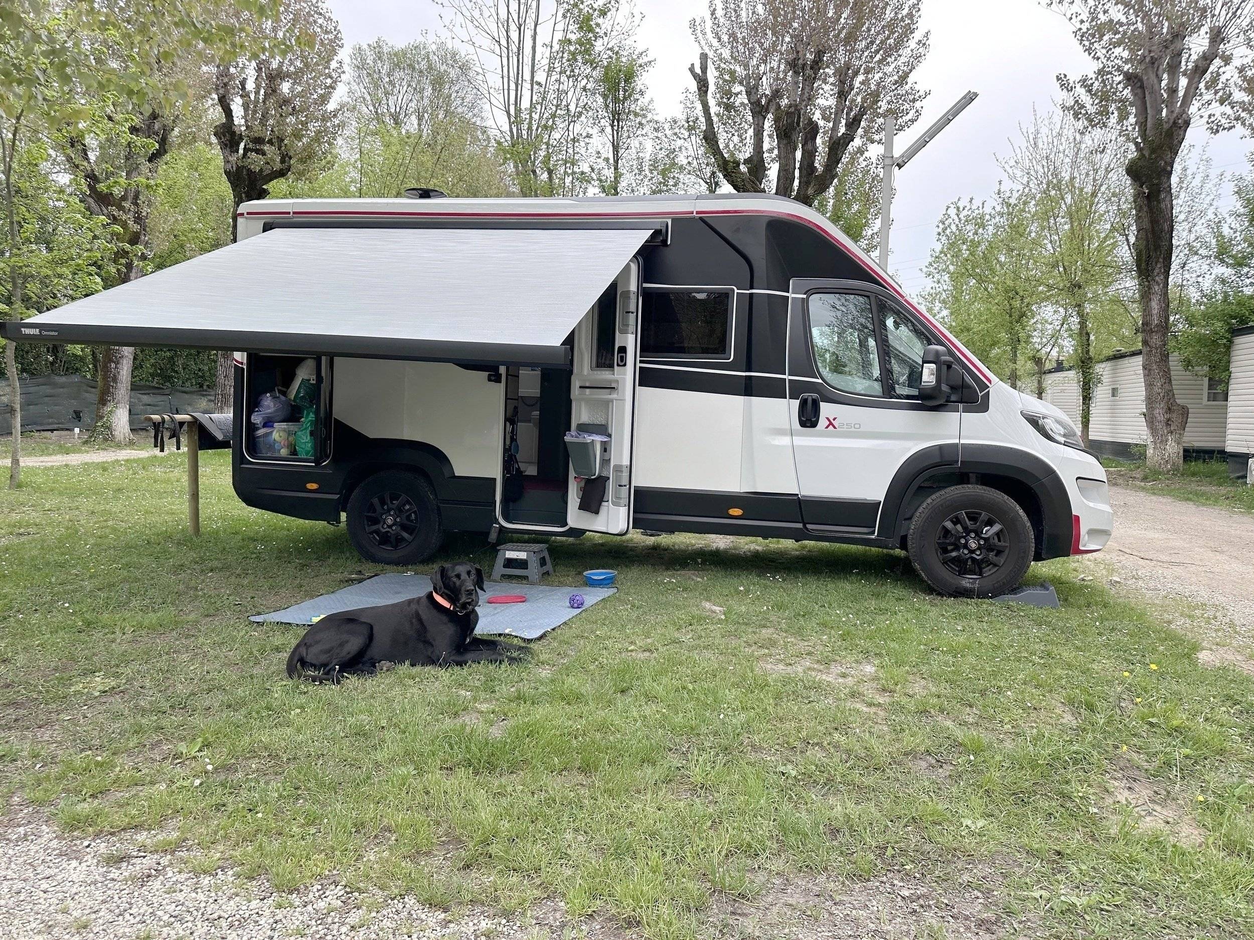 Challenger FIAT DUCATO