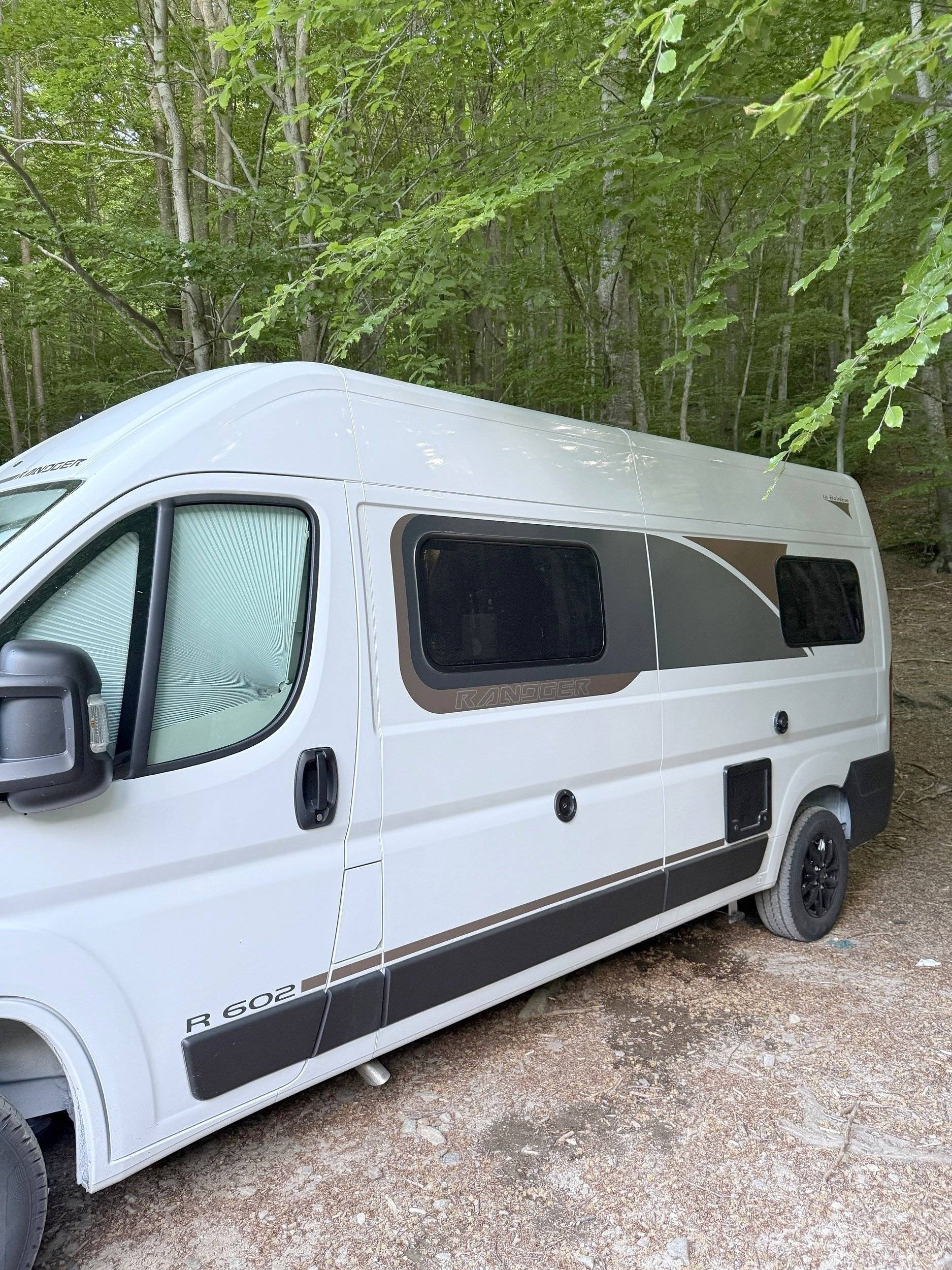 Randger Randger R 602