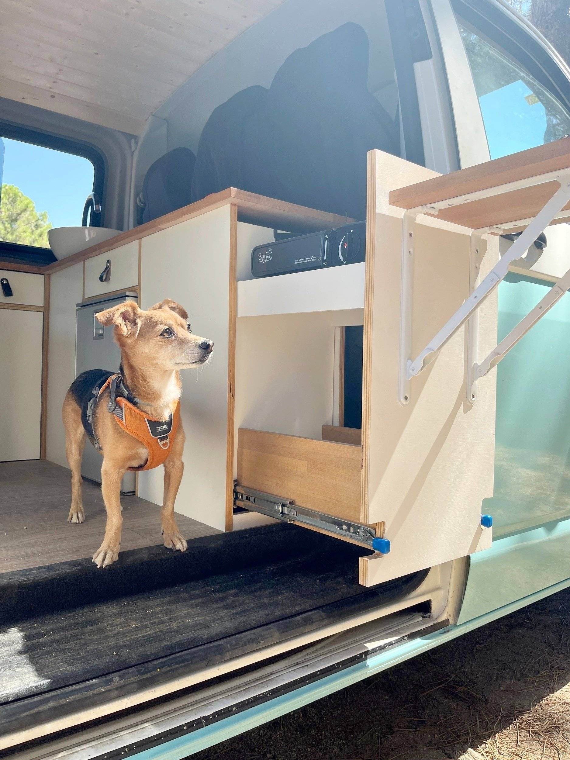 Volkswagen Volkswagen transporter T5