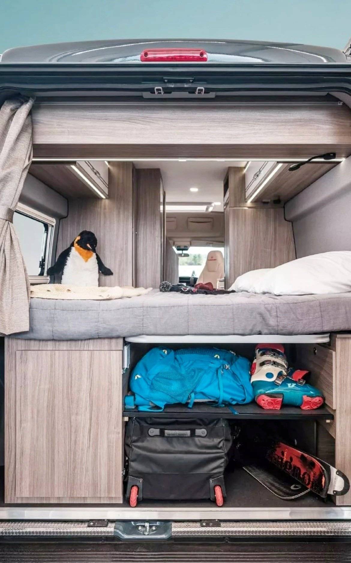 Randger Randger R 602