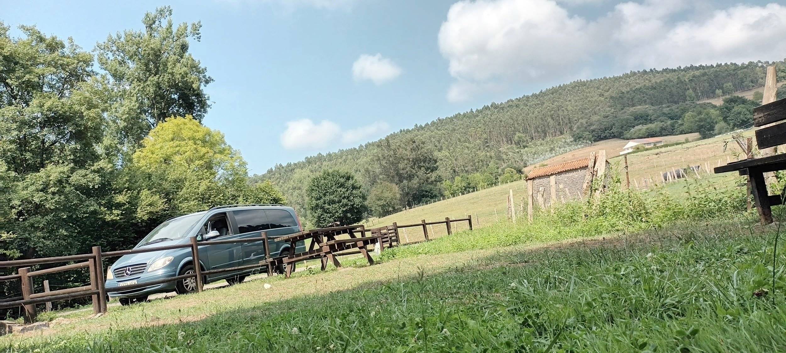 Mercedes Viano