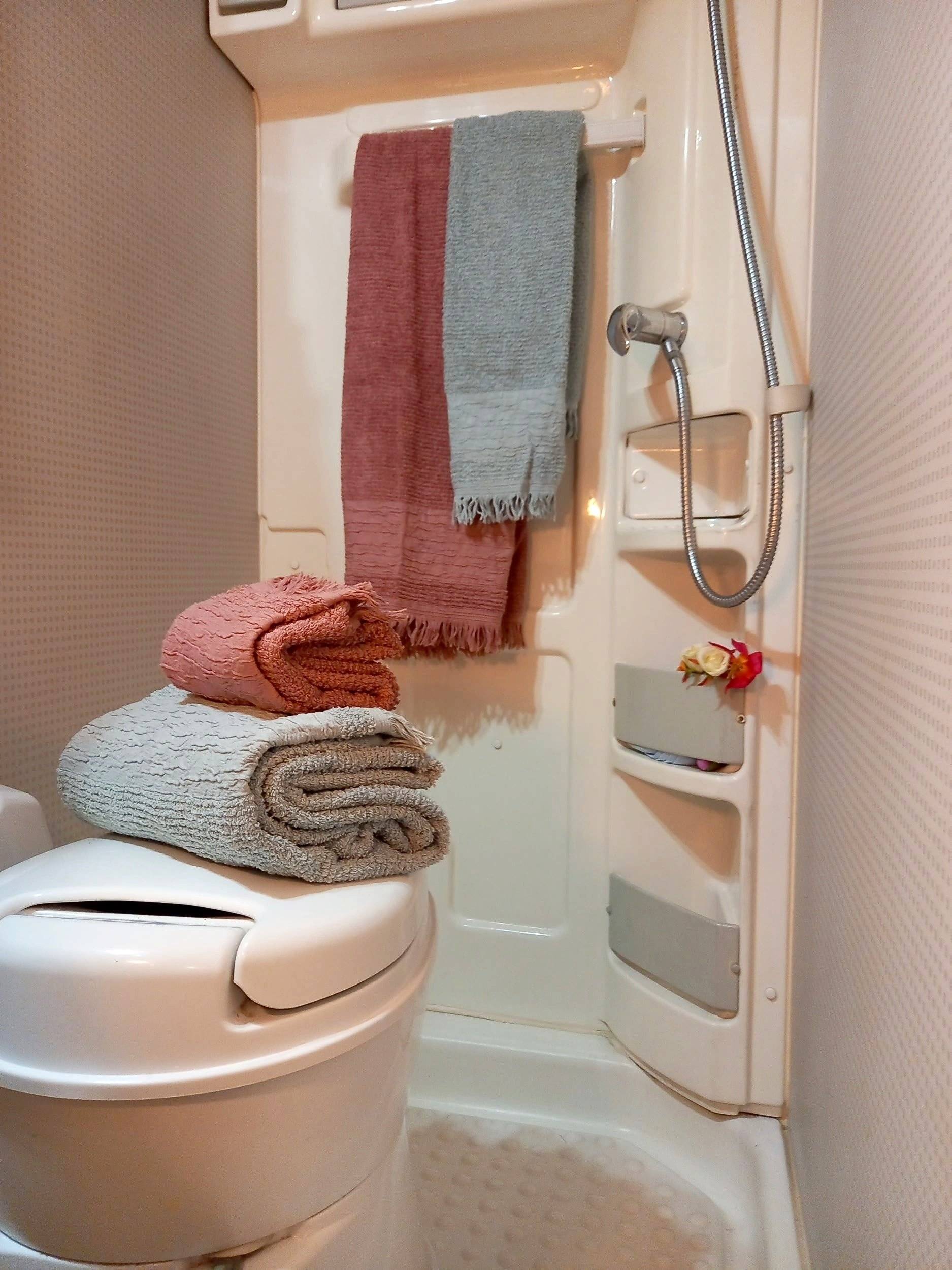 Challenger Genesis 36