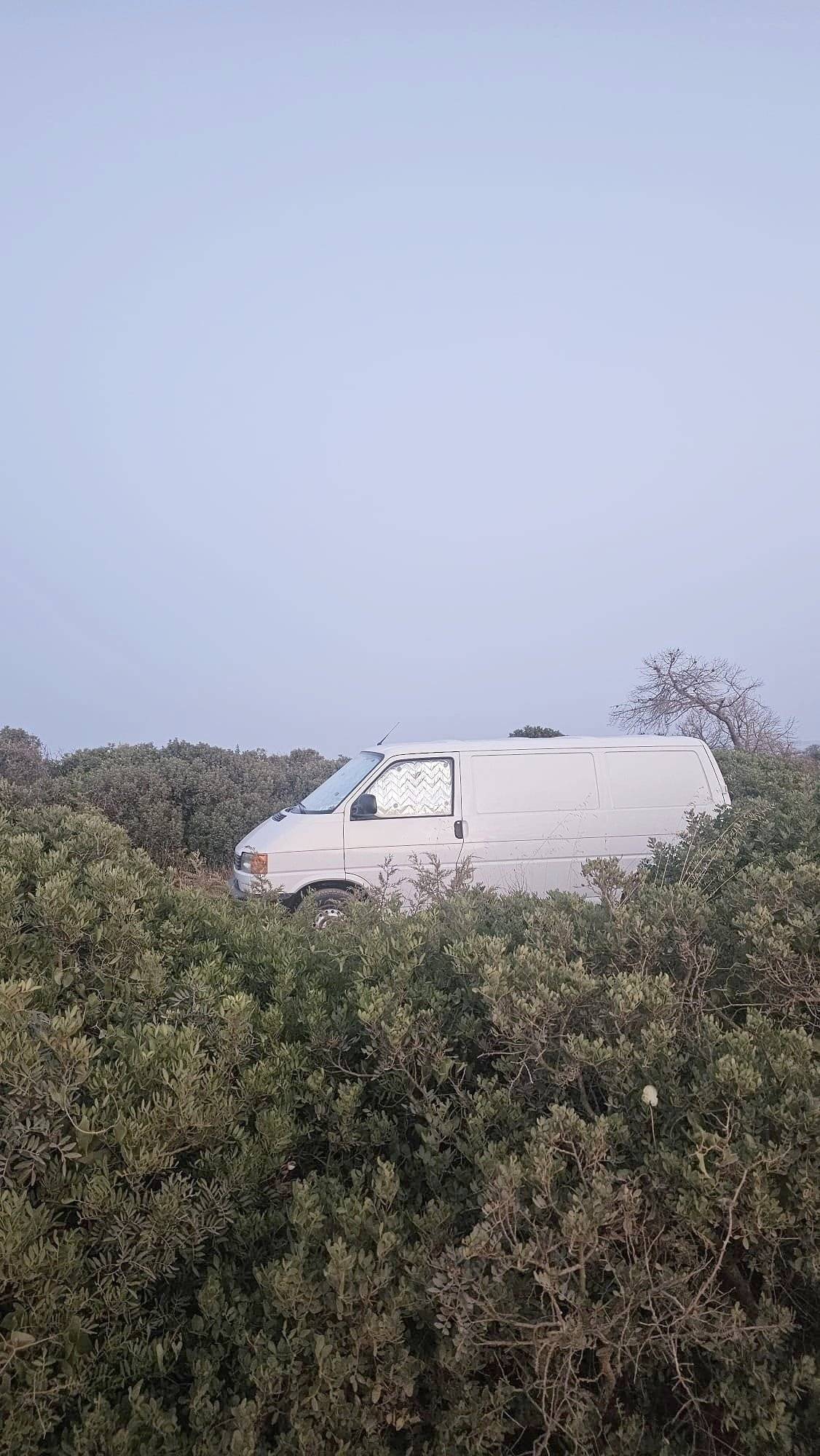 Custo Van Transporter