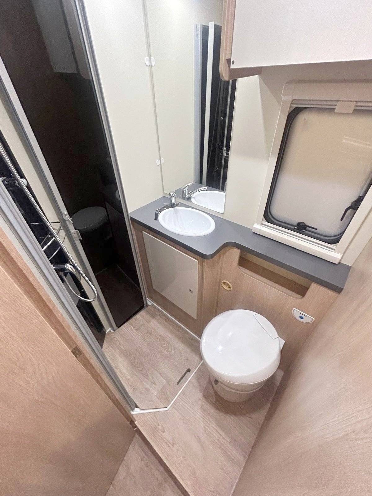 Giottiline siena 386