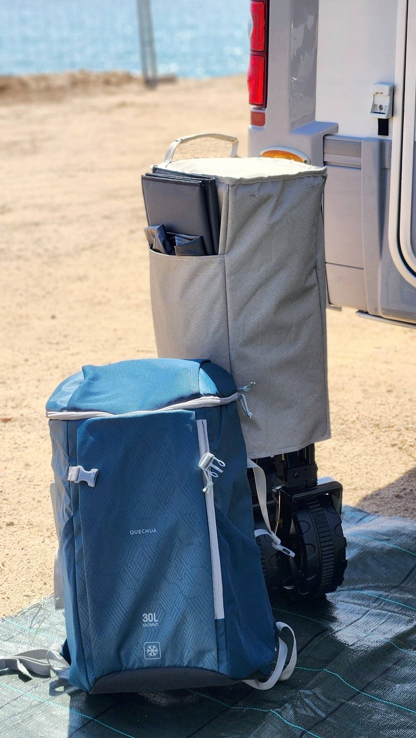 Adria Adria coral   sp660