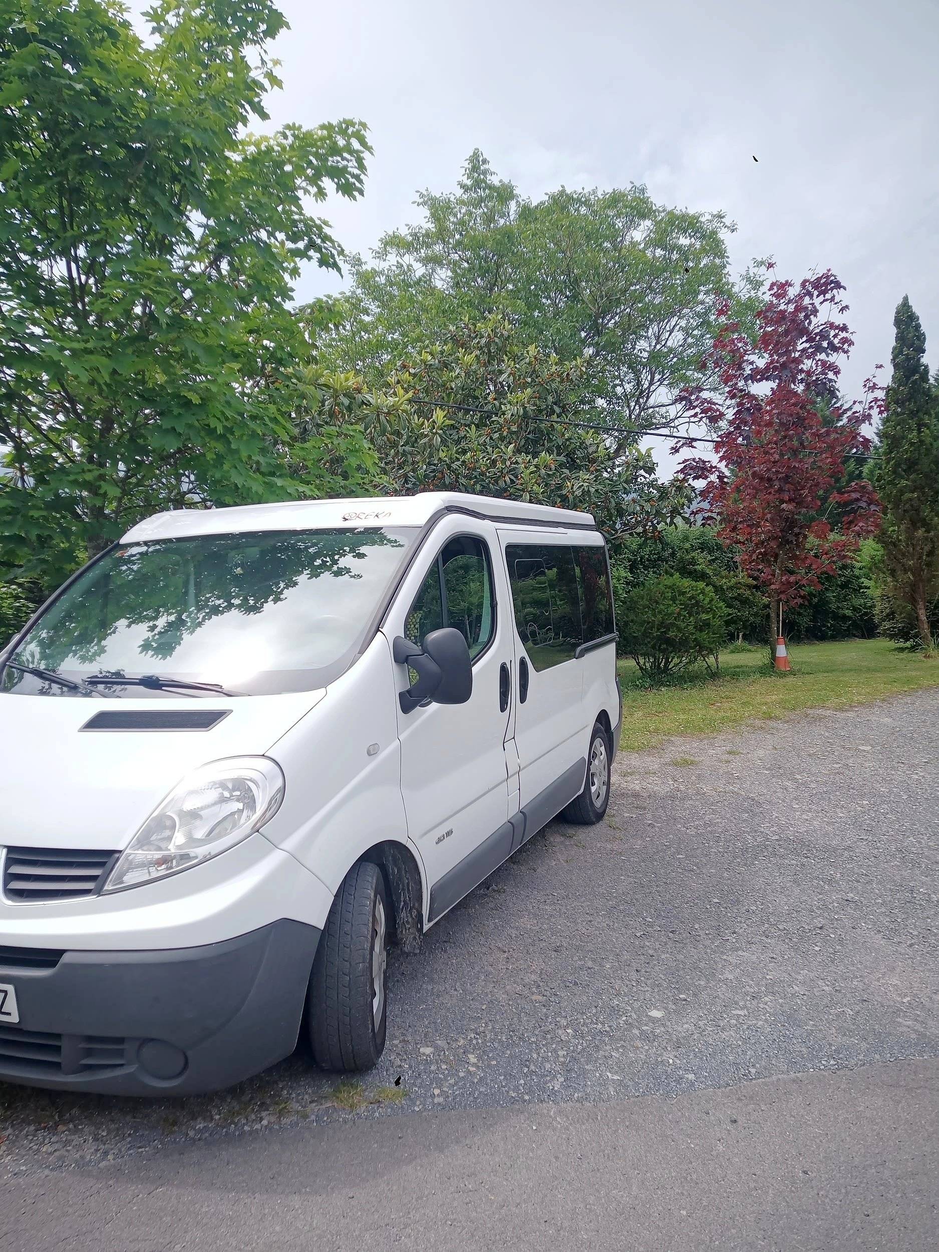 Renault Trafic 2,0 l dCi 115 ch