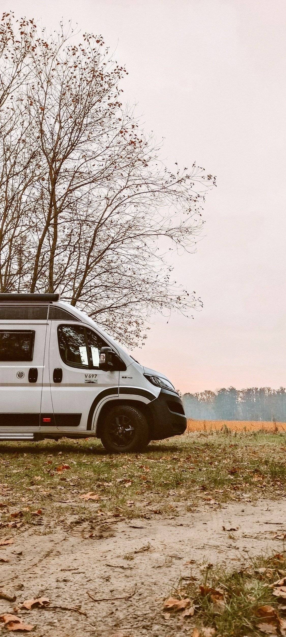Chausson 