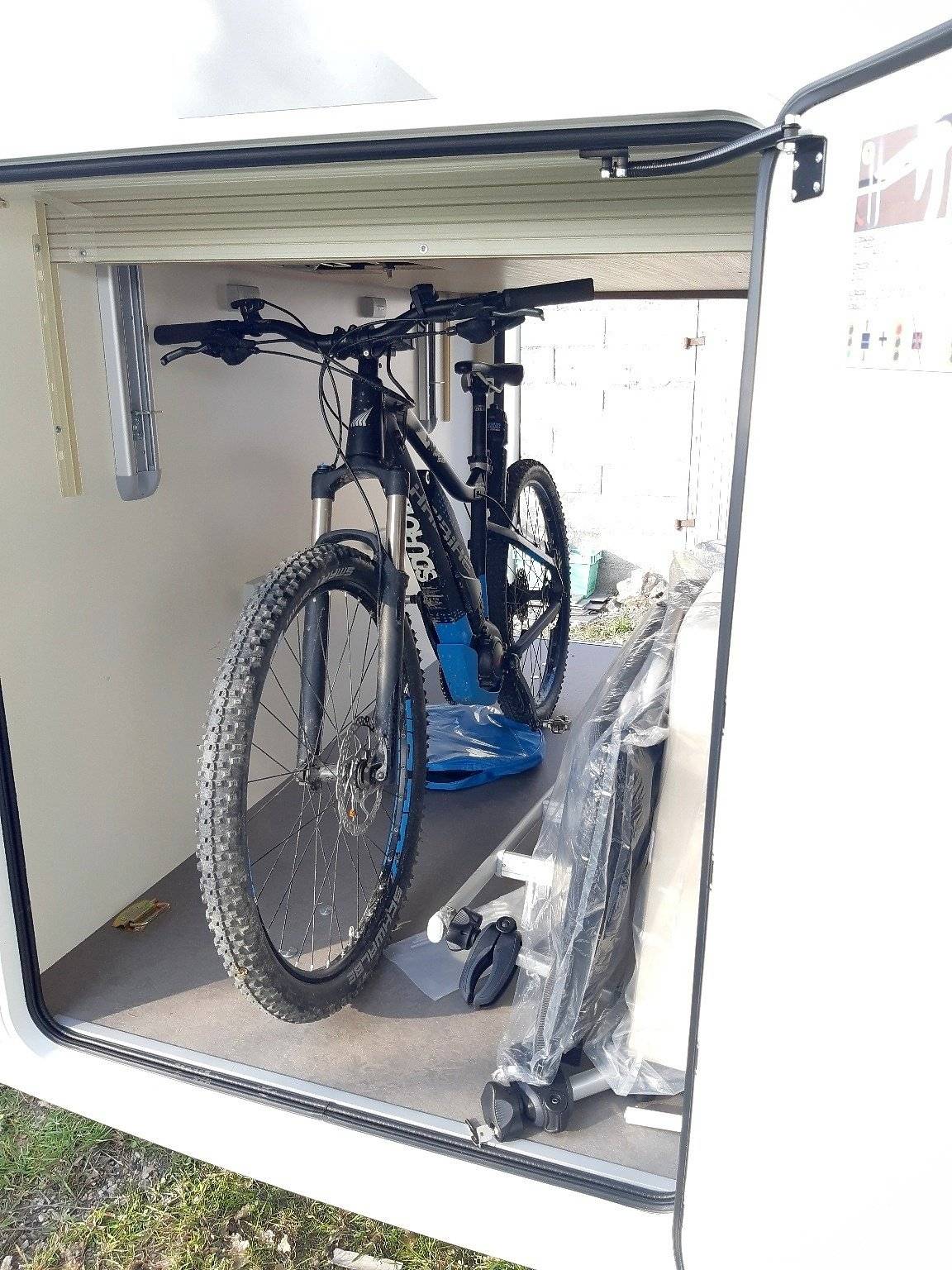 Mclouis Yearling 89G