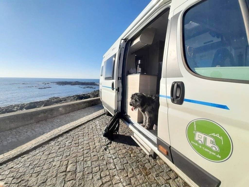 Sun Living Lichtenberg (V65SL)